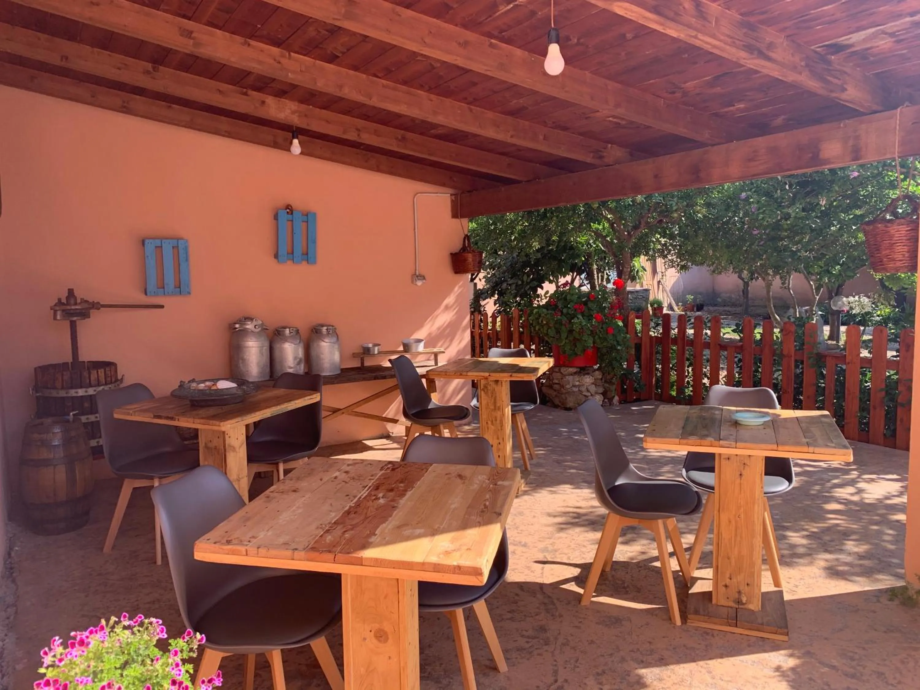 Selene Domus Collection