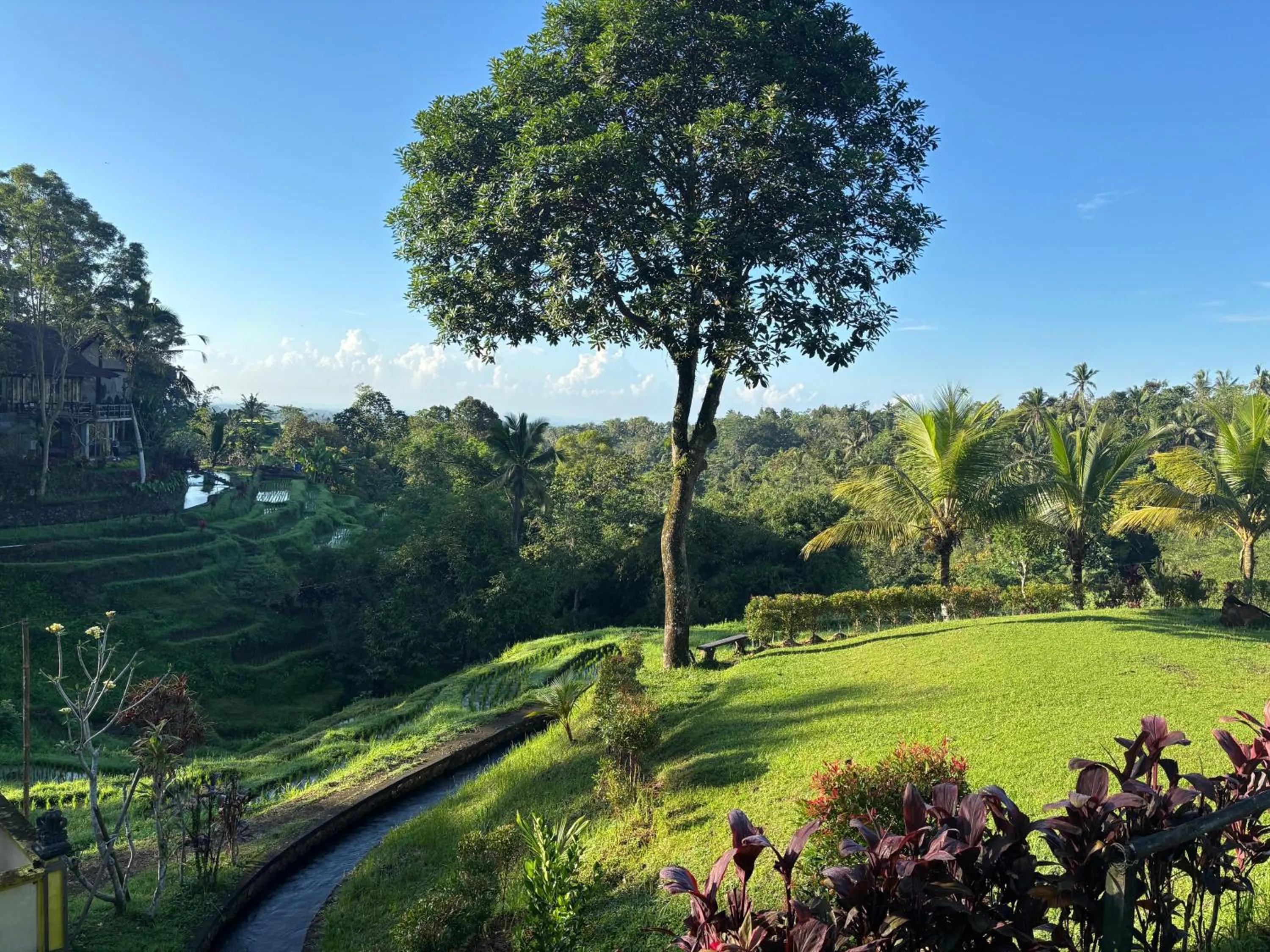 Garden in Sang Tirta Resort