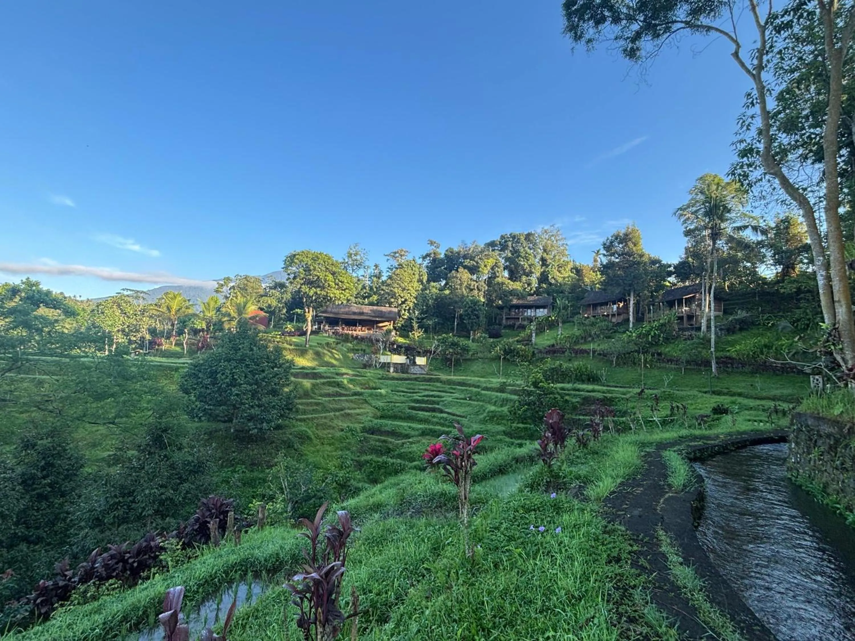 Garden in Sang Tirta Resort