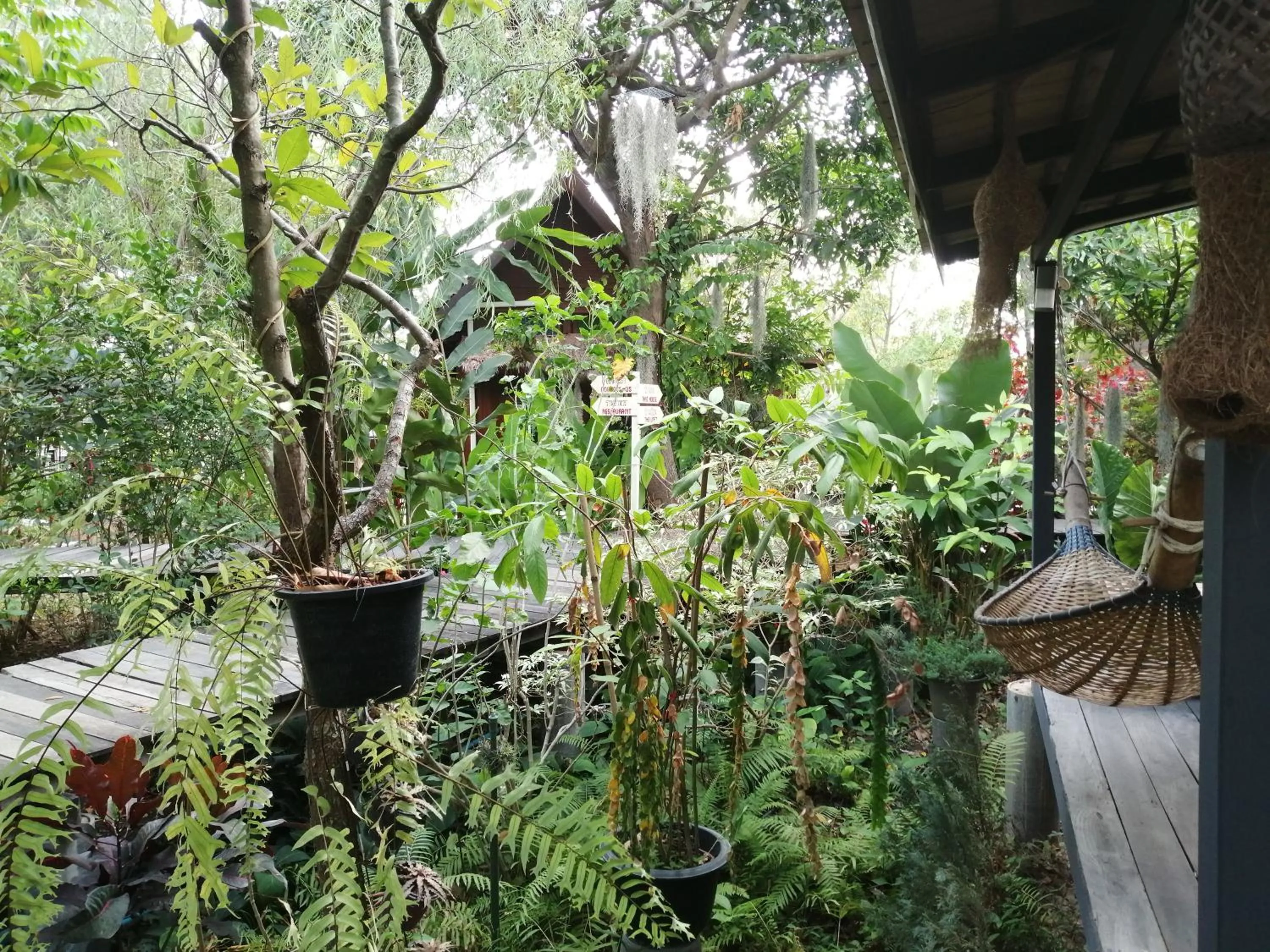 Property building in Rustic​ Charm​ Suphan​