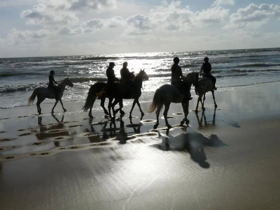 Horse-riding in La Ferme Antoinette