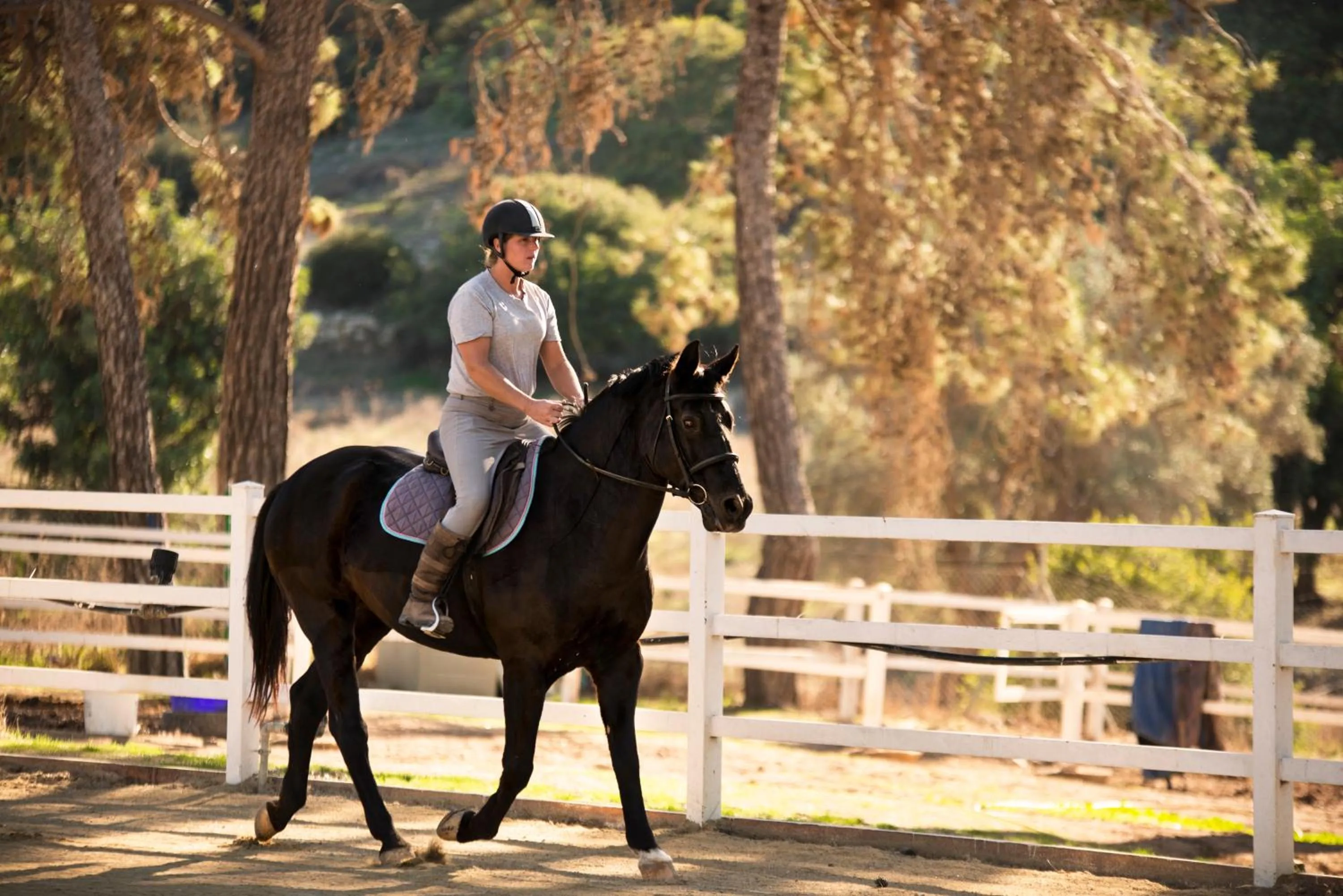 Horse-riding in Aphrodite Hills Rentals - Premium Serviced Apartments