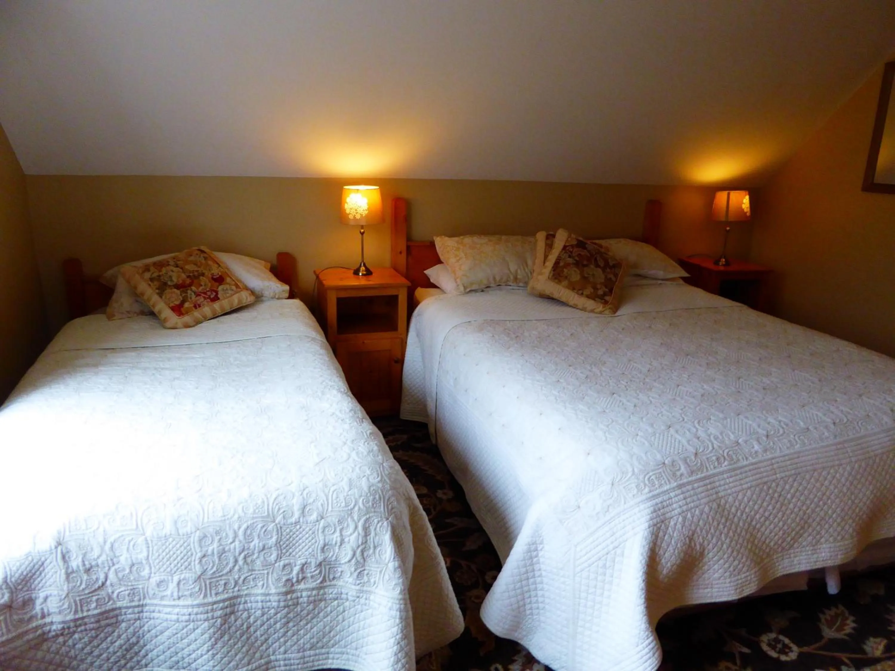 Bedroom, Bed in Camillaun Lodge with Lough Corrib Boat Hire