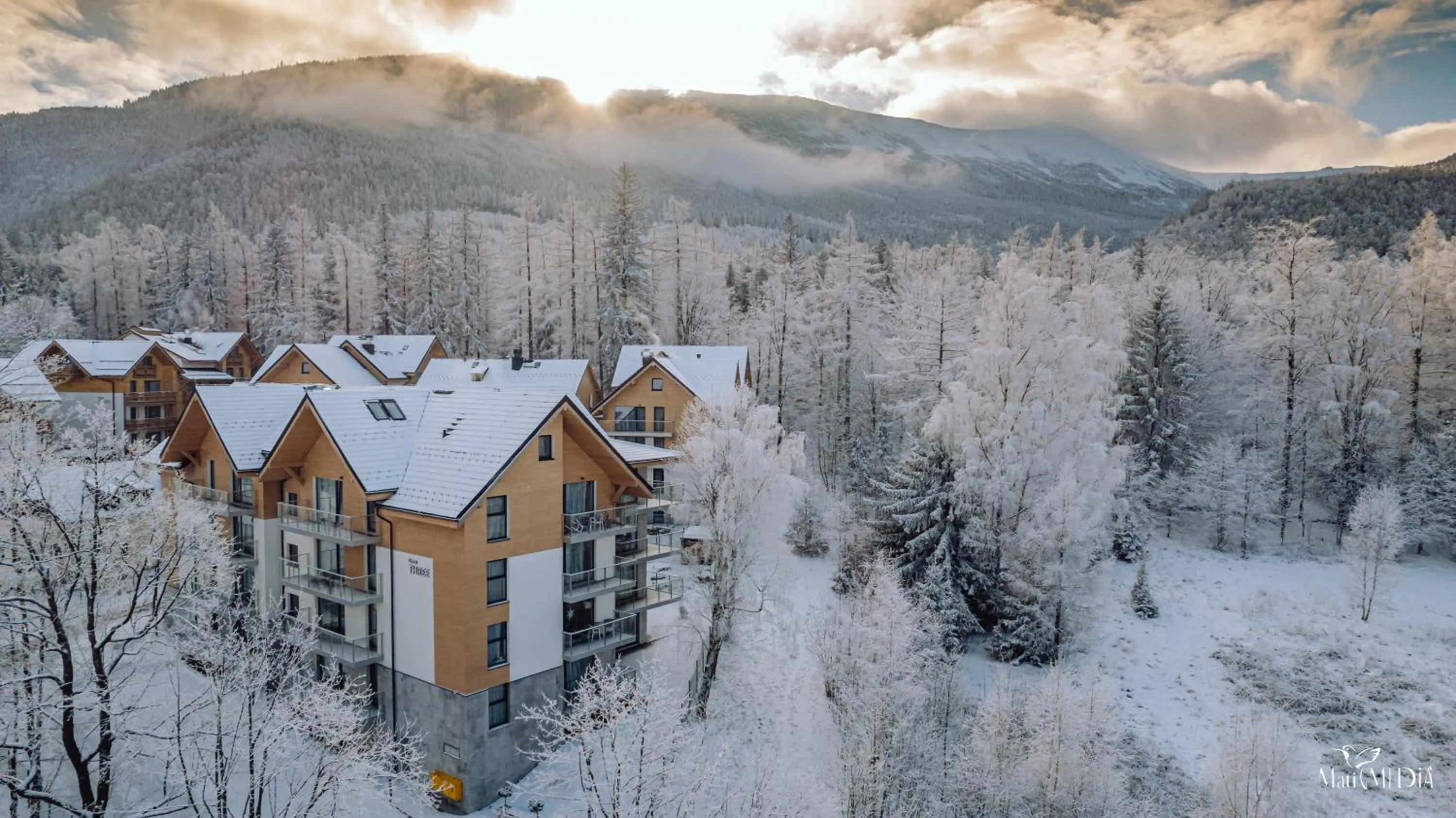 Property building in Green Apartments