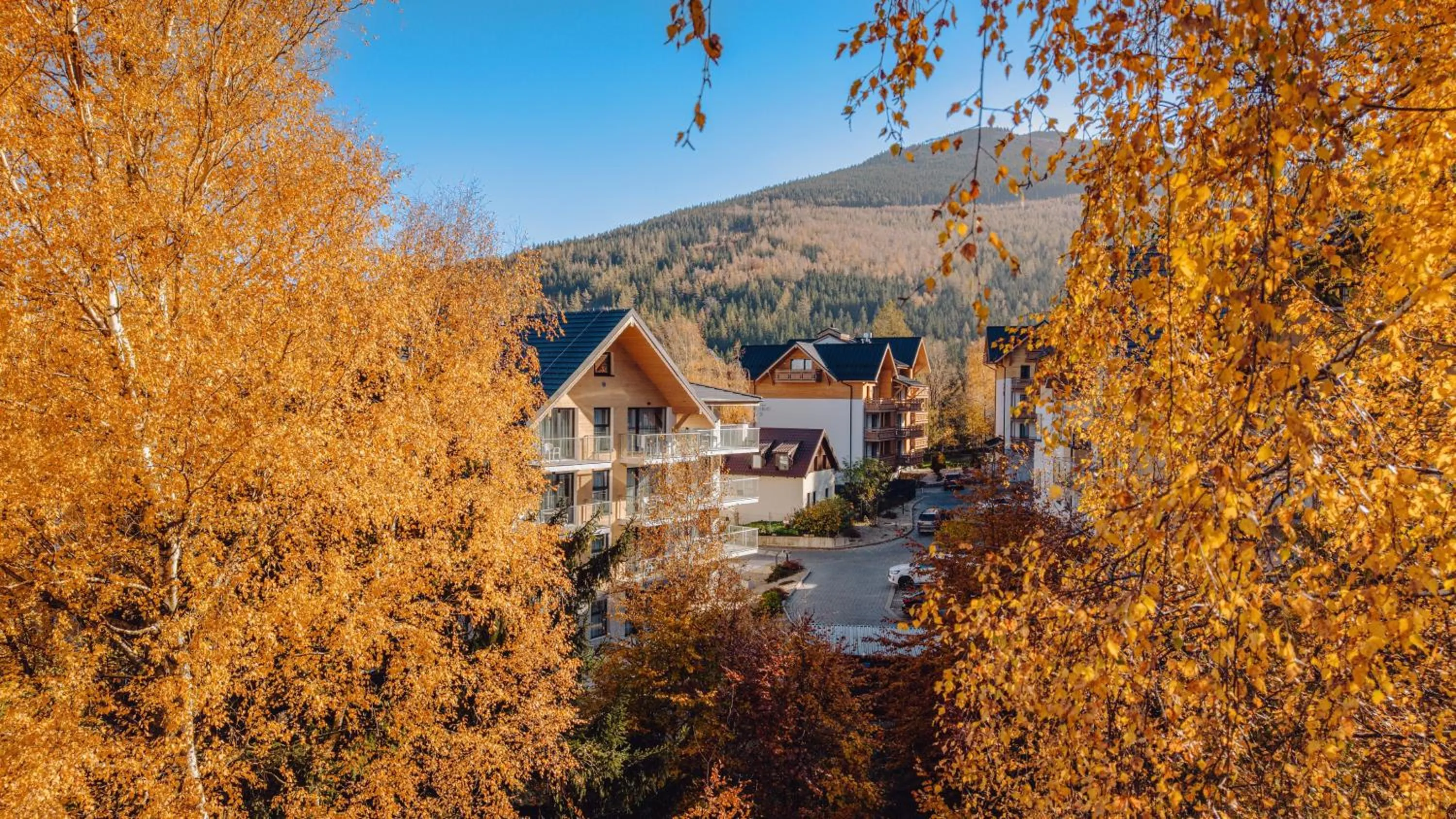 Property building in Green Apartments