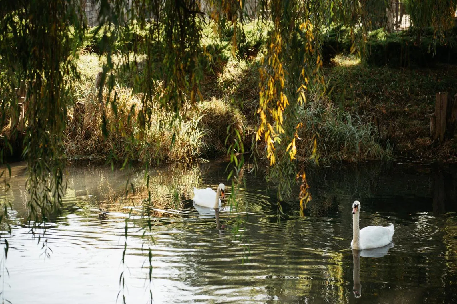 Natural landscape in Etno Village Cardaci