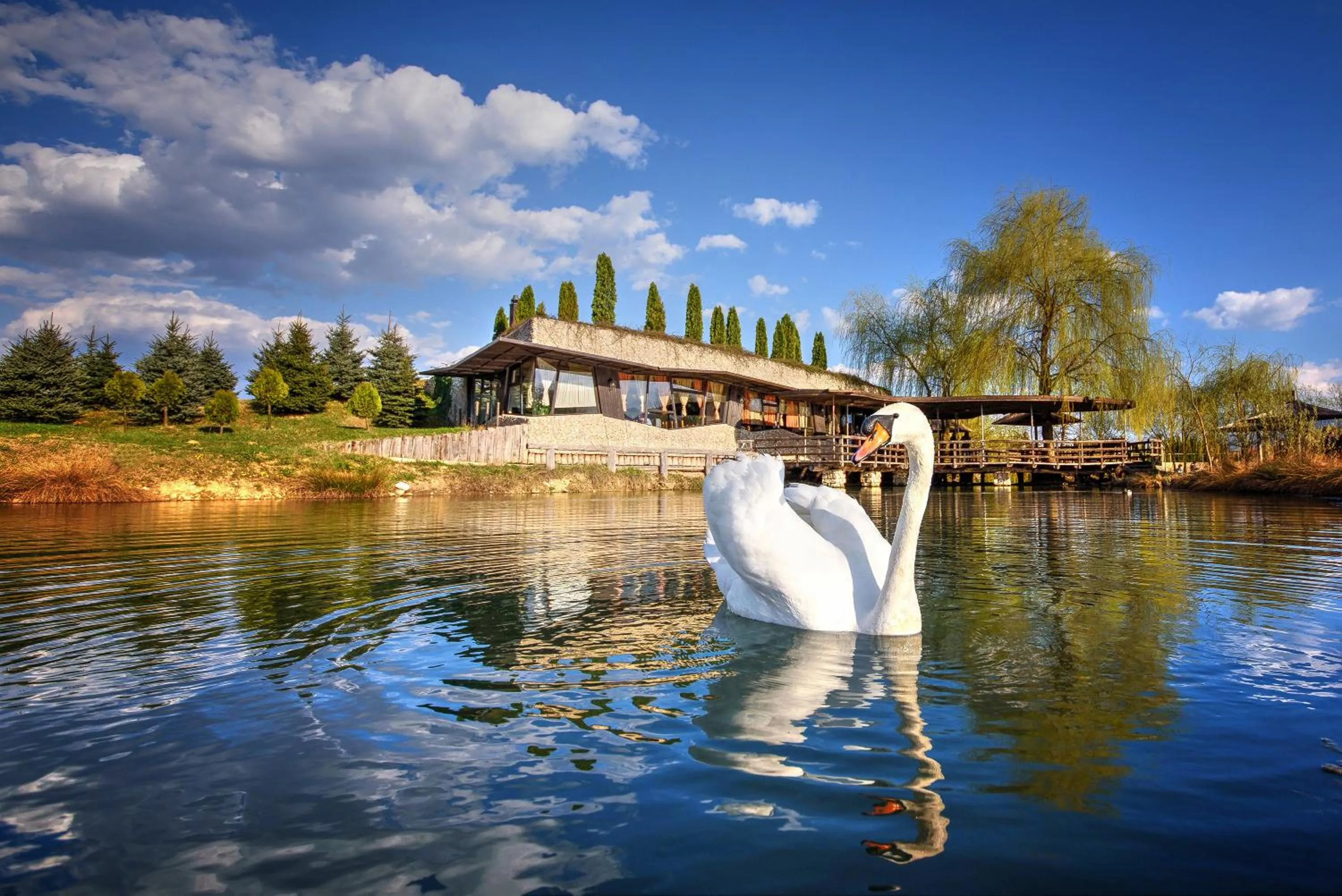 Restaurant/places to eat in Etno Village Cardaci