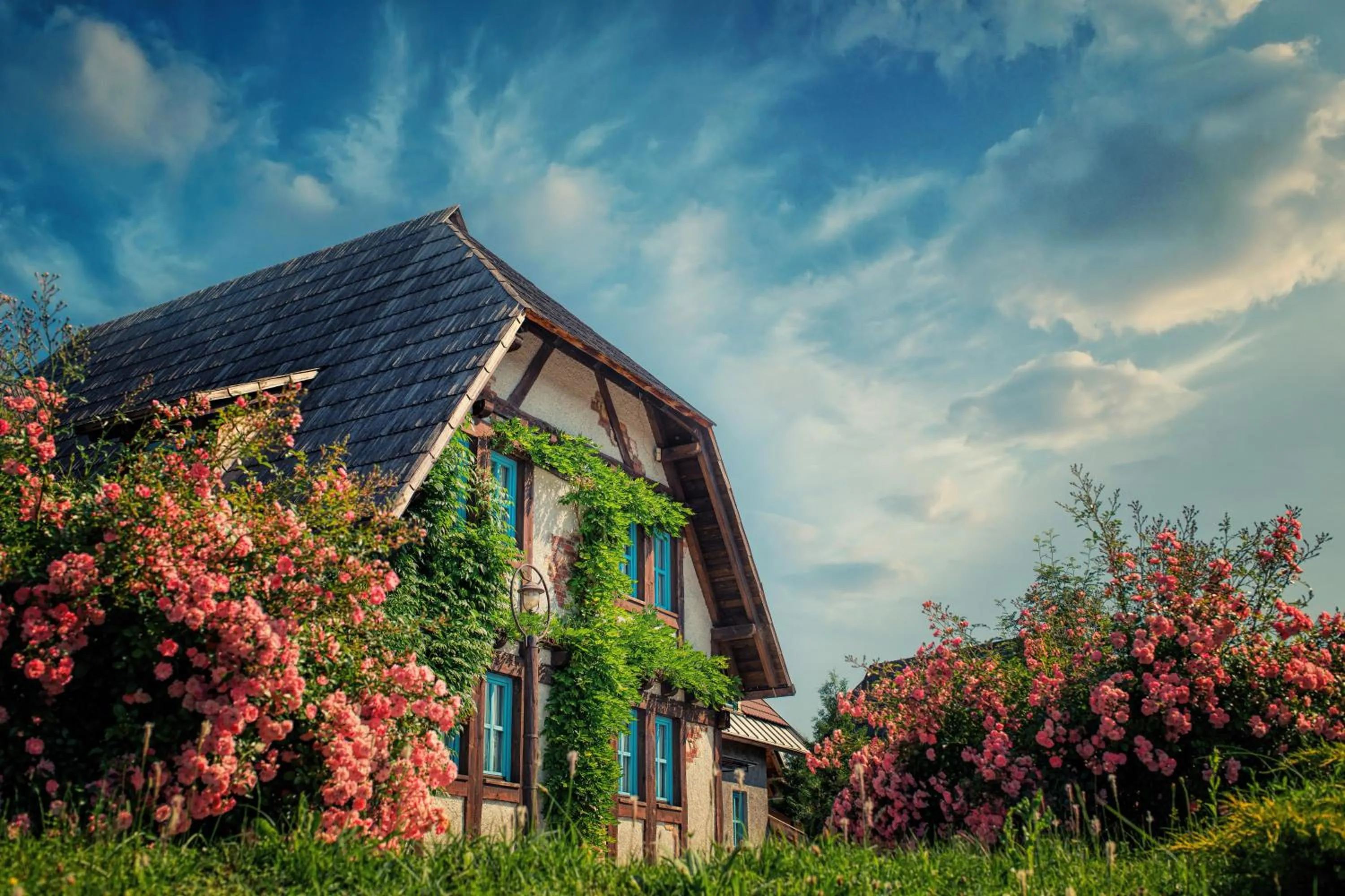 Facade/entrance in Etno Village Cardaci