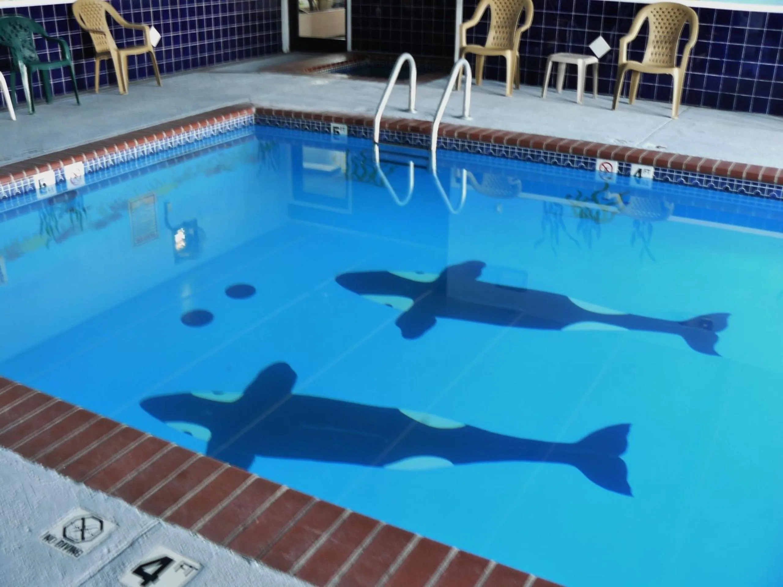 Swimming pool in Super 8 by Wyndham Childress