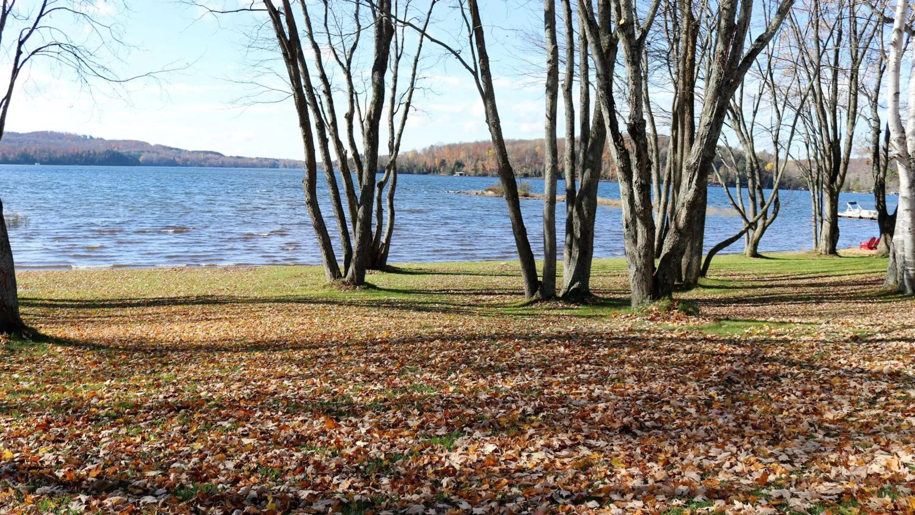 Autumn in Tally Ho Inn