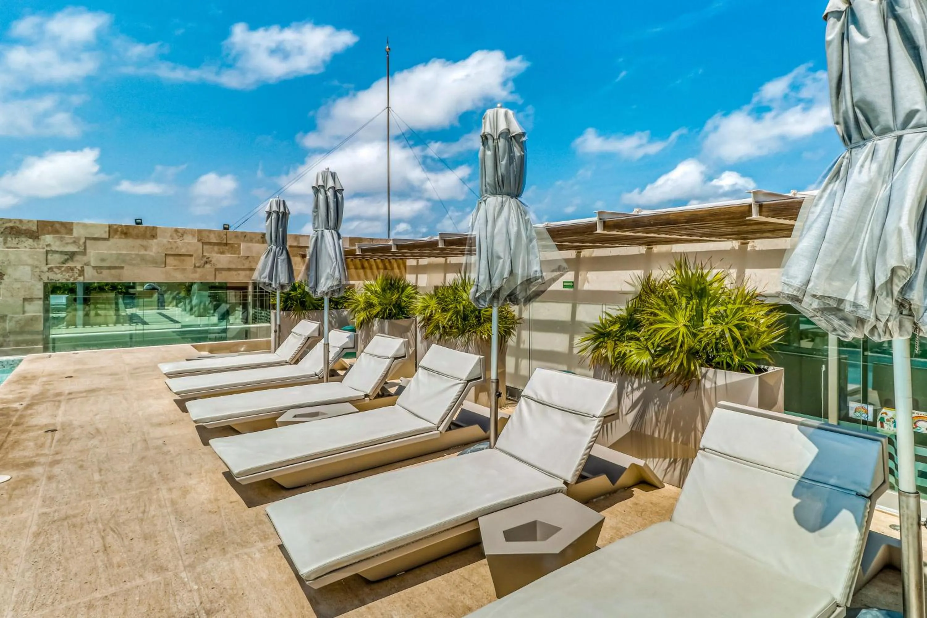 Riva Puerto Cancun # 207, Halibut