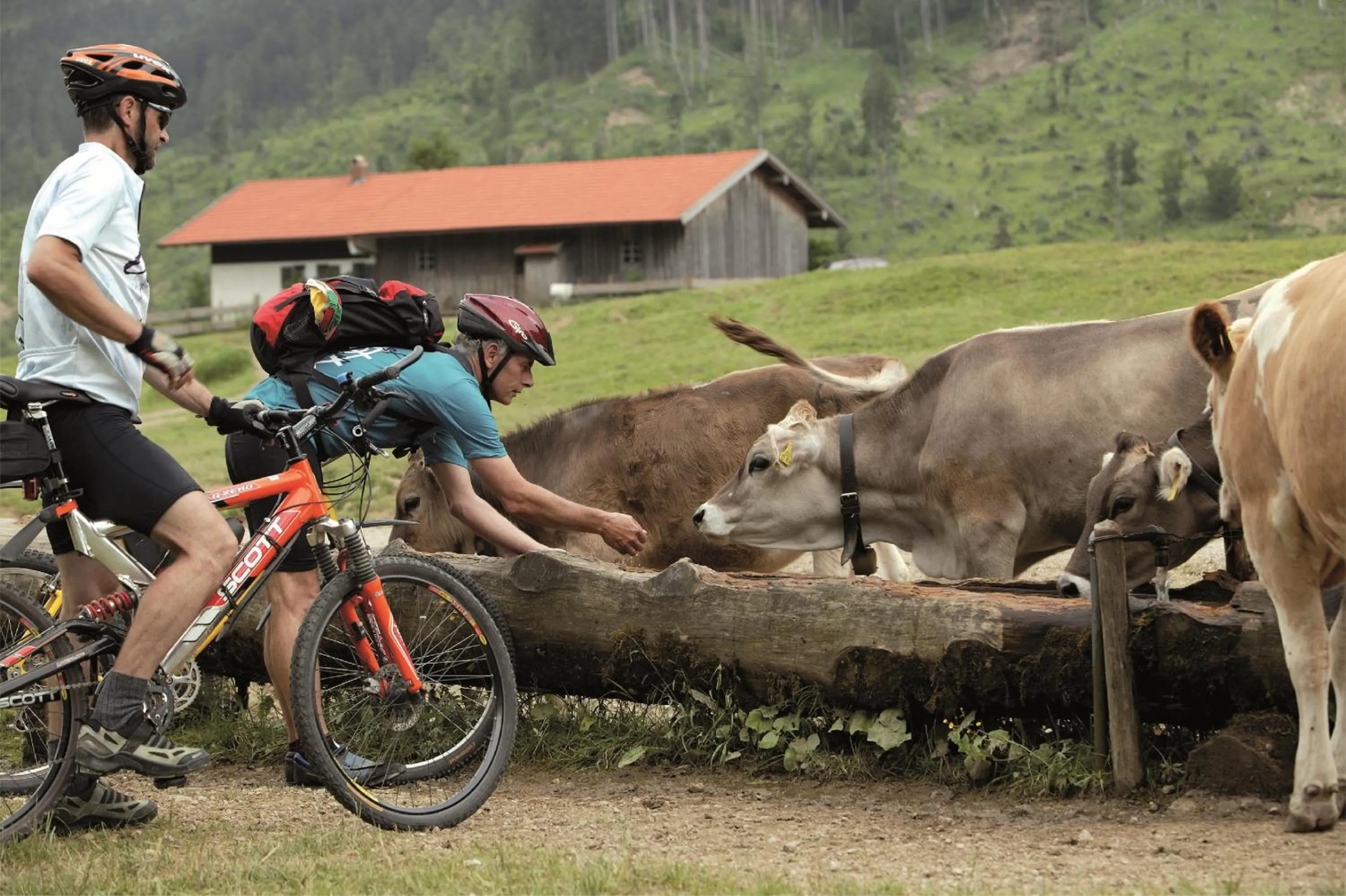 Cycling in Aparthotel Donaustern
