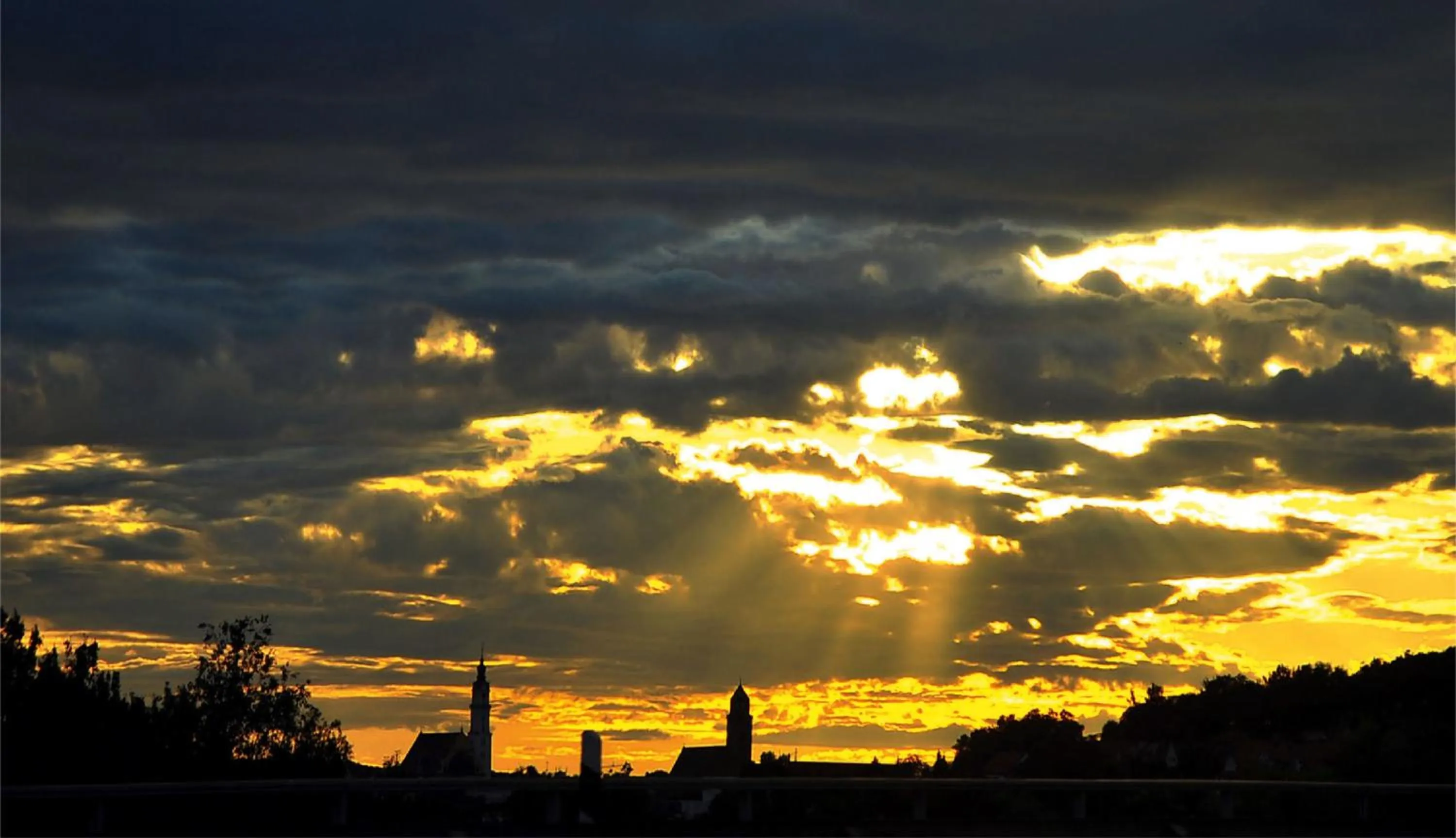 Area and facilities in Aparthotel Donaustern