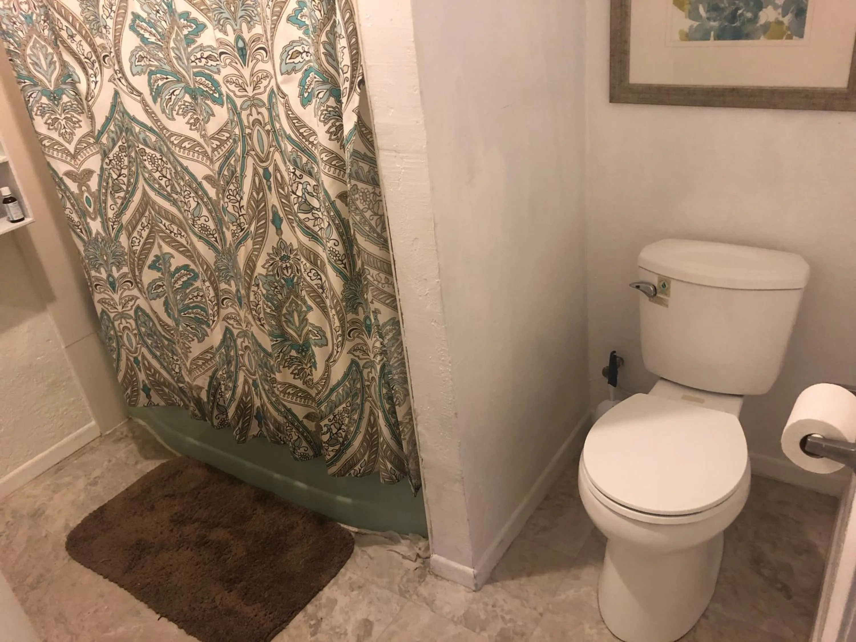 WHOLE Family - WholeVille