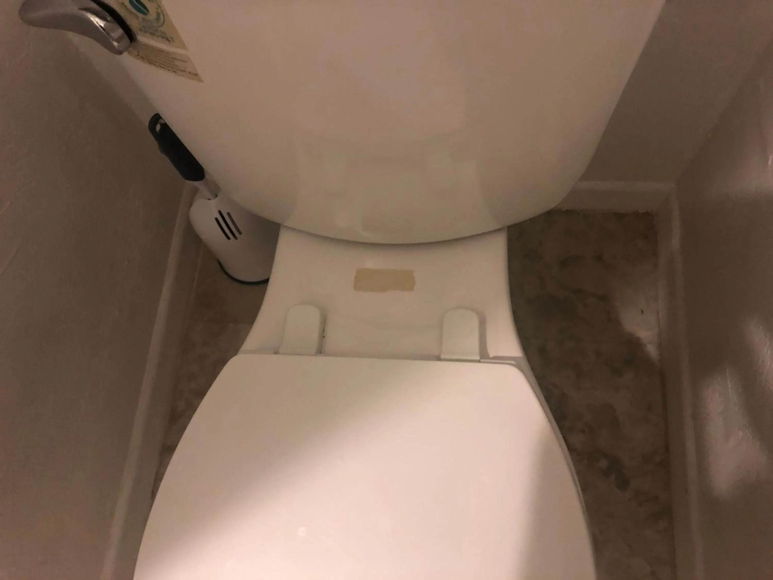 WHOLE Family - WholeVille