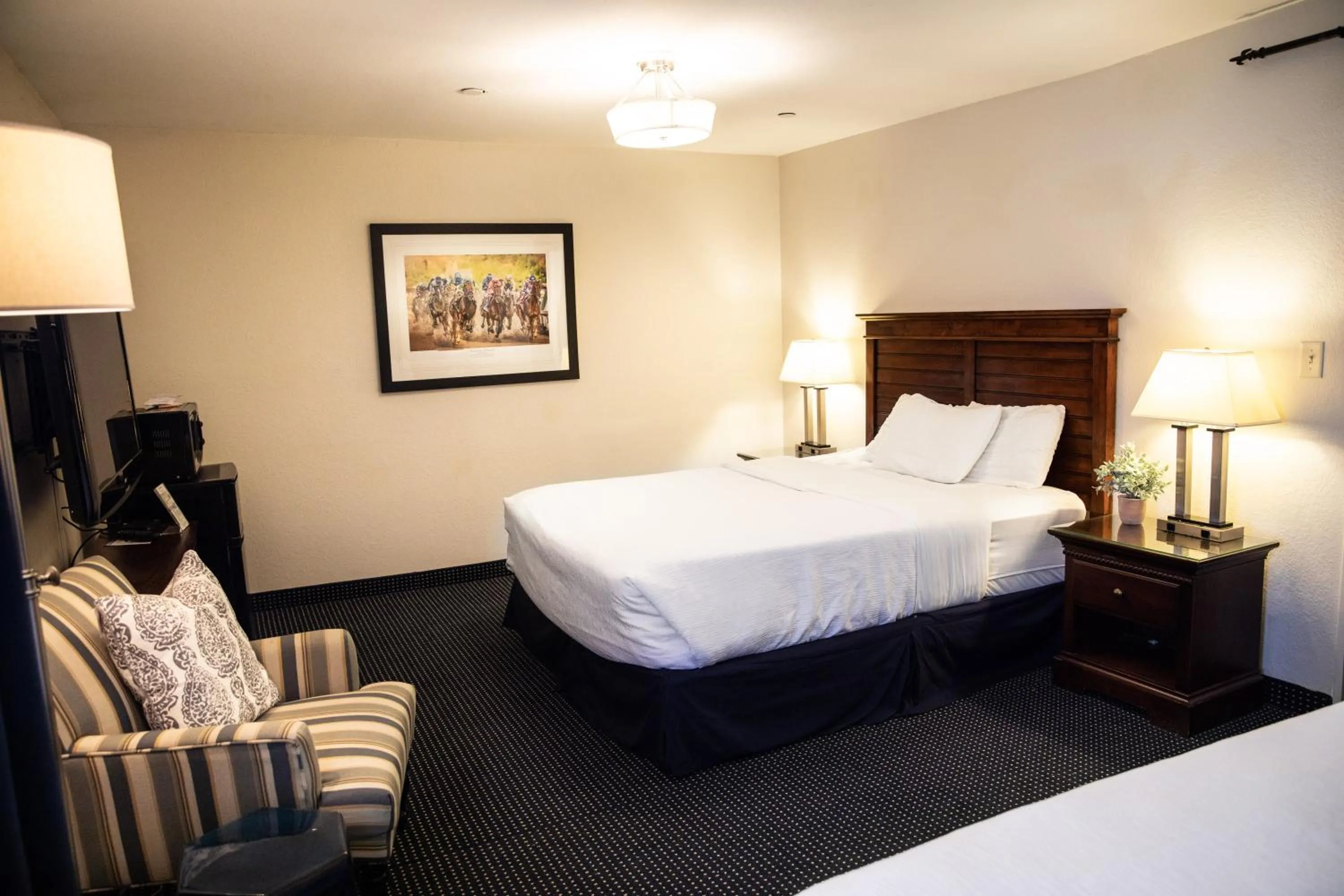 Photo of the whole room in Hatfield Inn