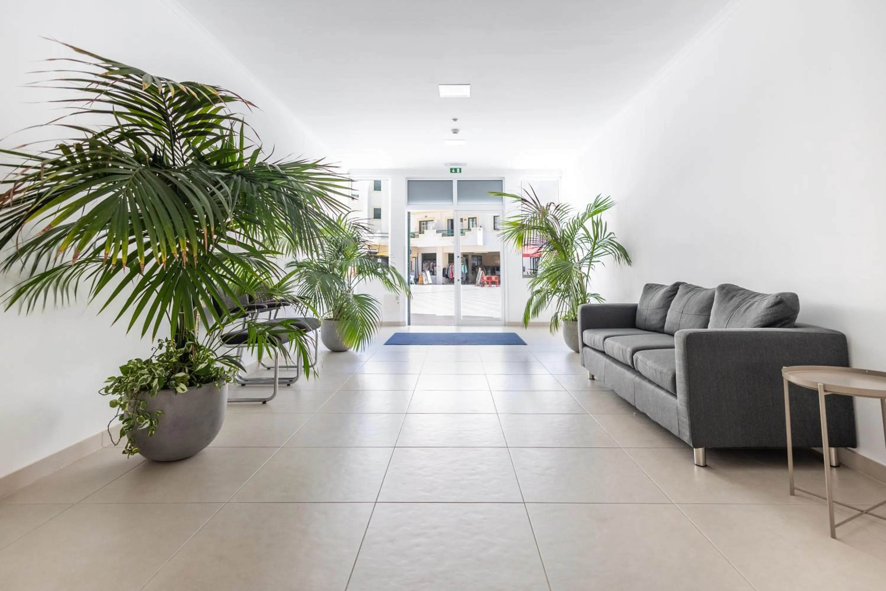 Lobby or reception in Dunas Hostel & Guesthouse