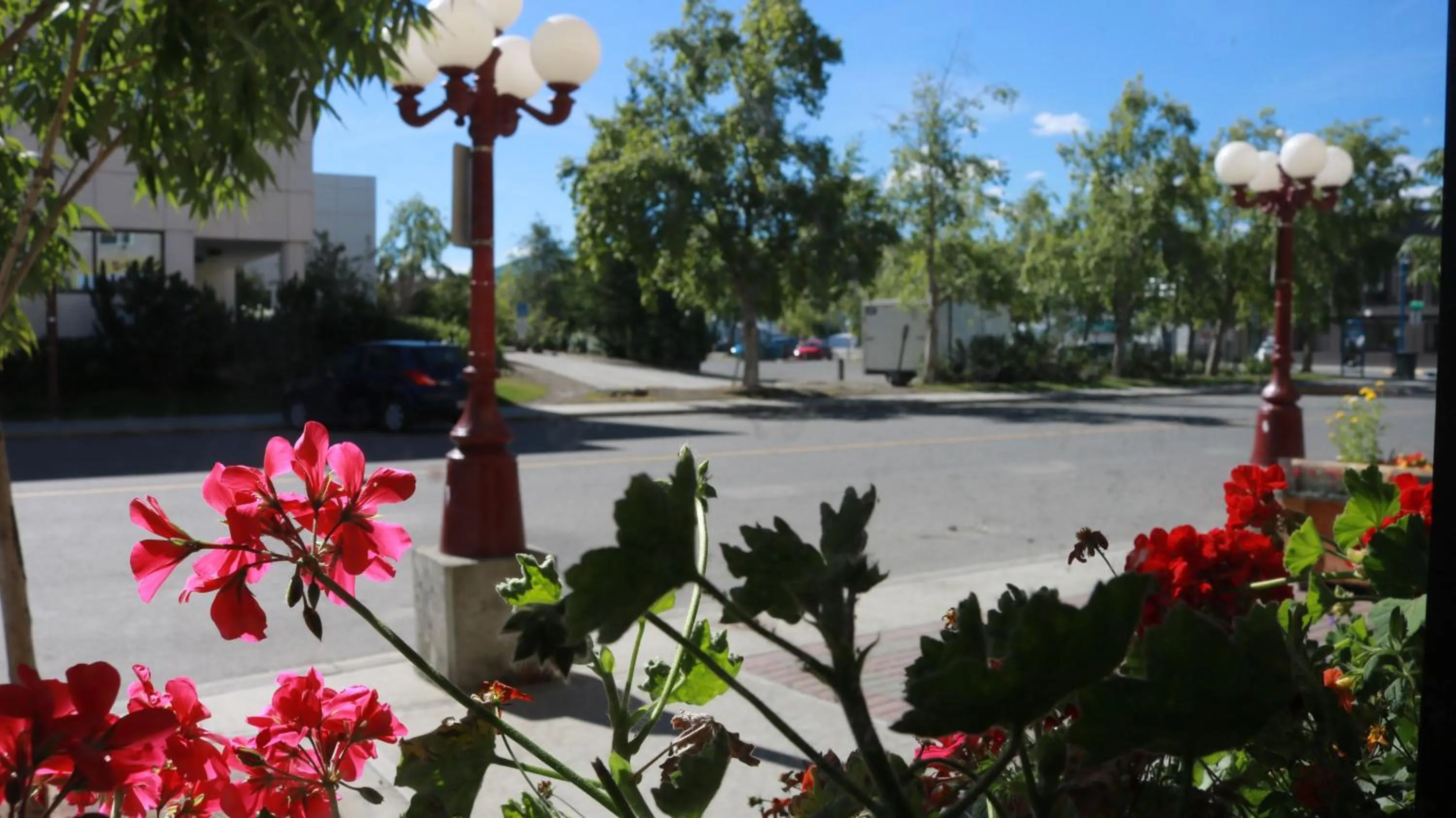 Elite Hotel -Downtown Center- "Ski & Northern light Tour" "Hot Spring Tour "Long-term stay"