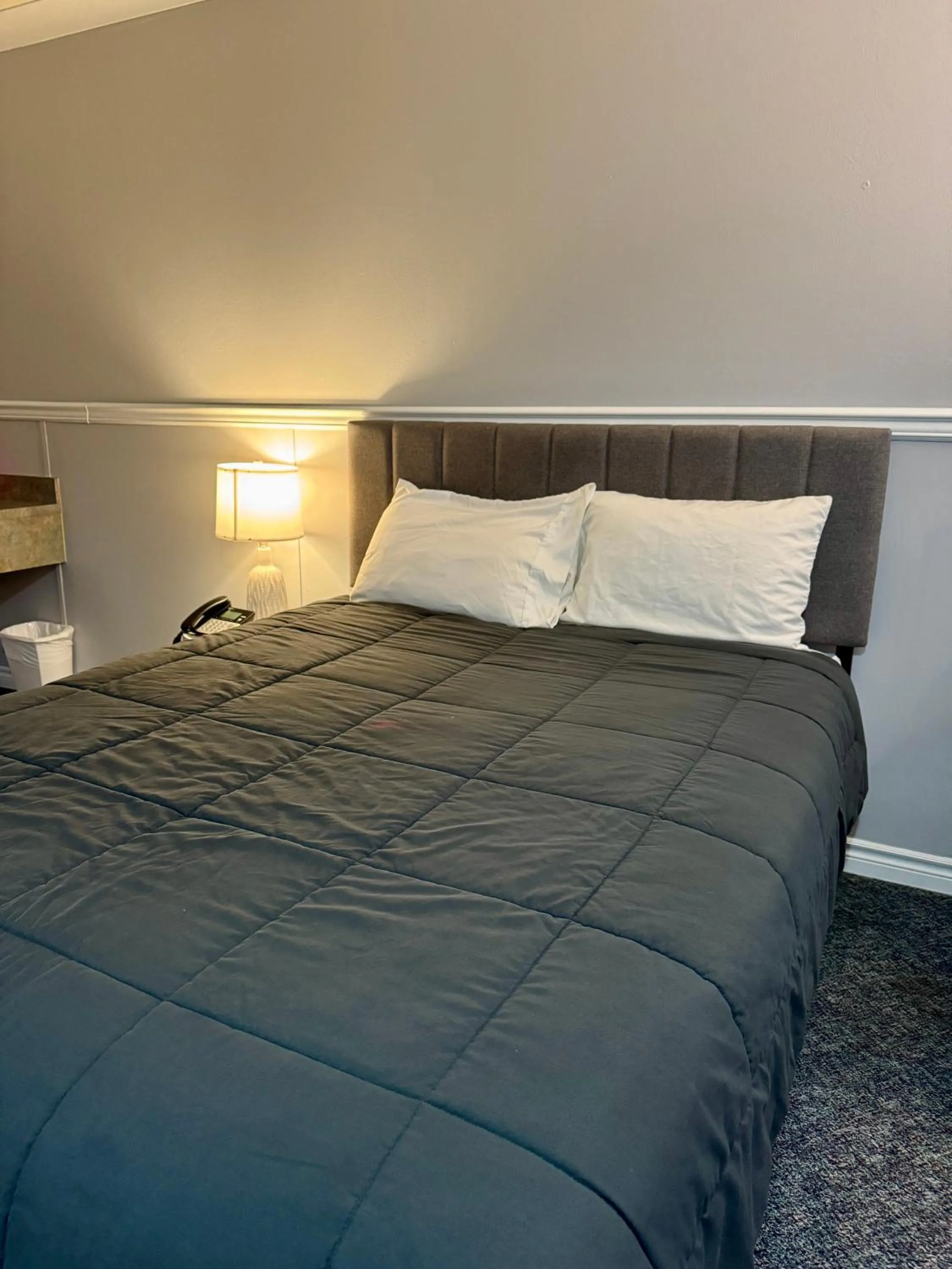 Bed in Elite Hotel -Downtown Center- "Ski & Northern light Tour" "Hot Spring Tour "Long-term stay"