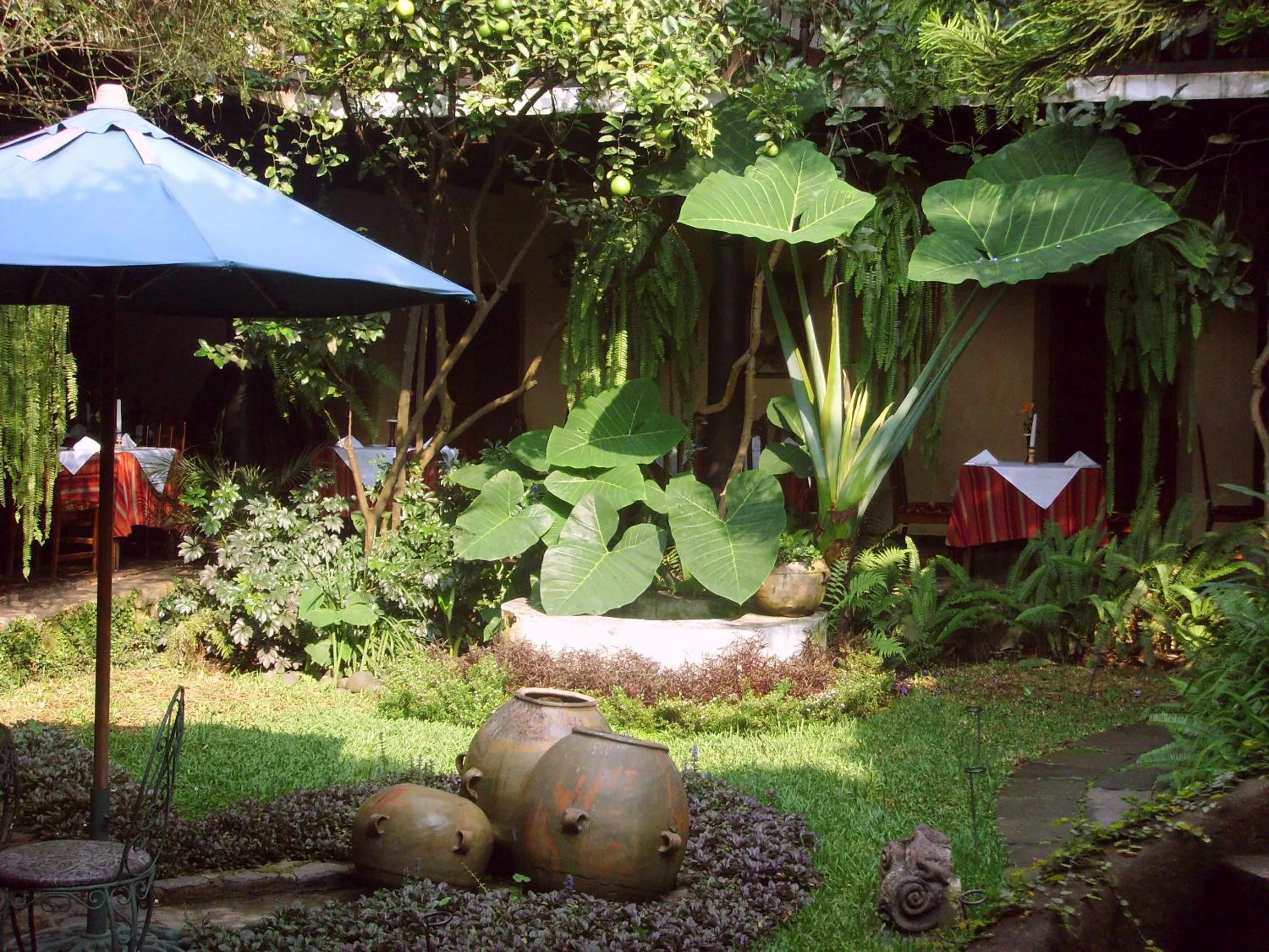 Garden in Meson Panza Verde