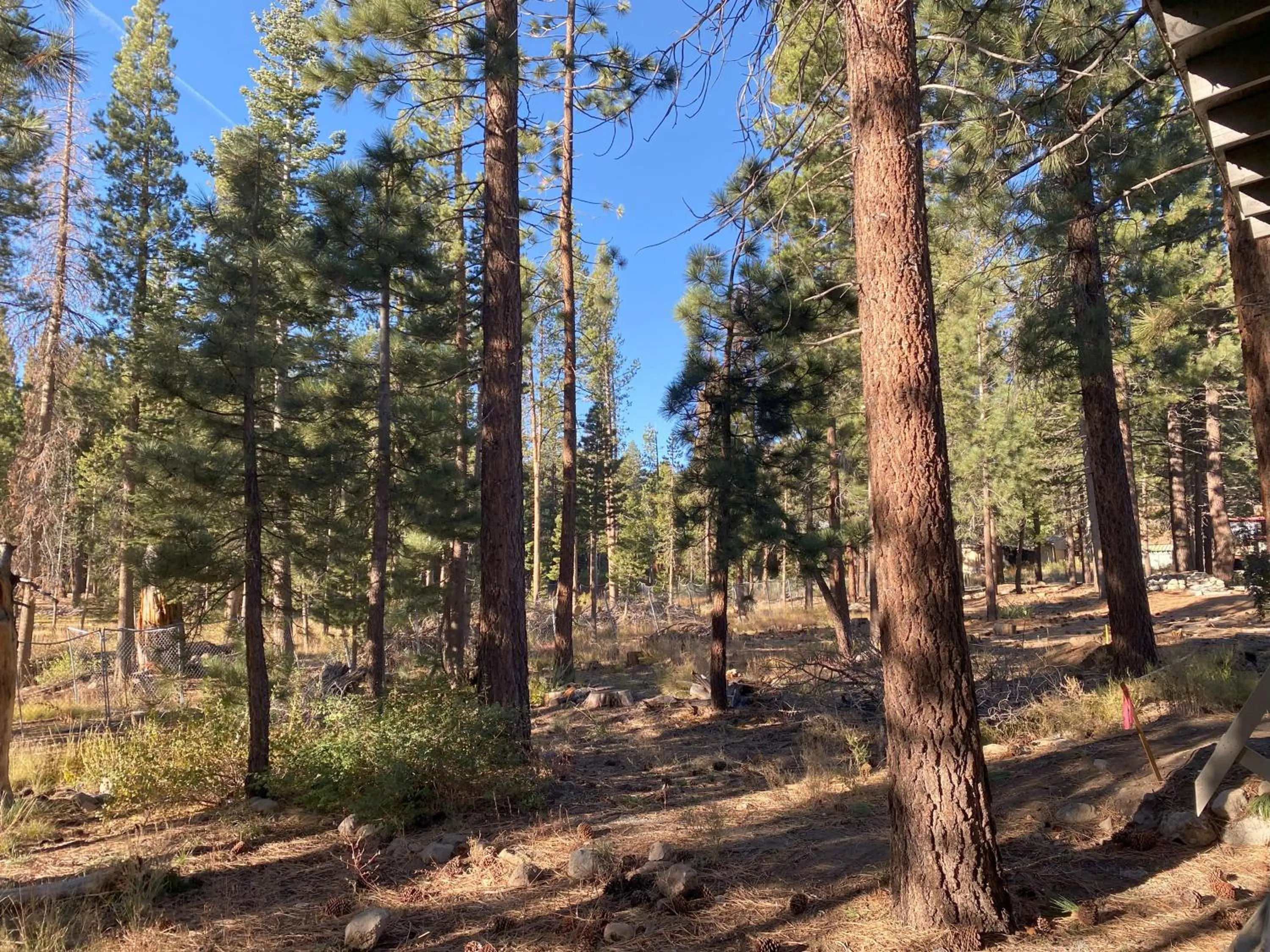 Natural landscape in Cinnamon Bear Inn
