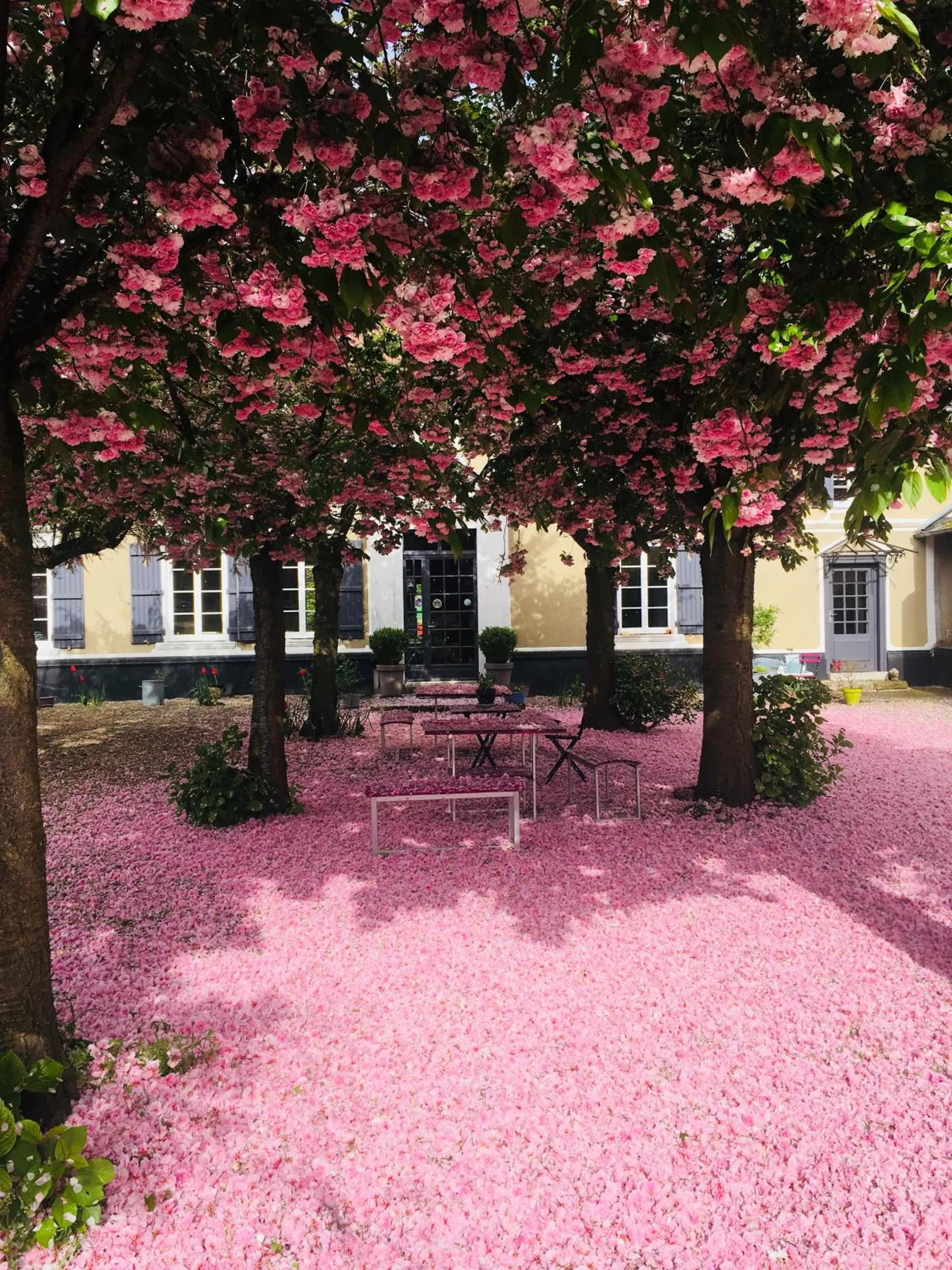 Patio in Au Presbytère de Saigneville