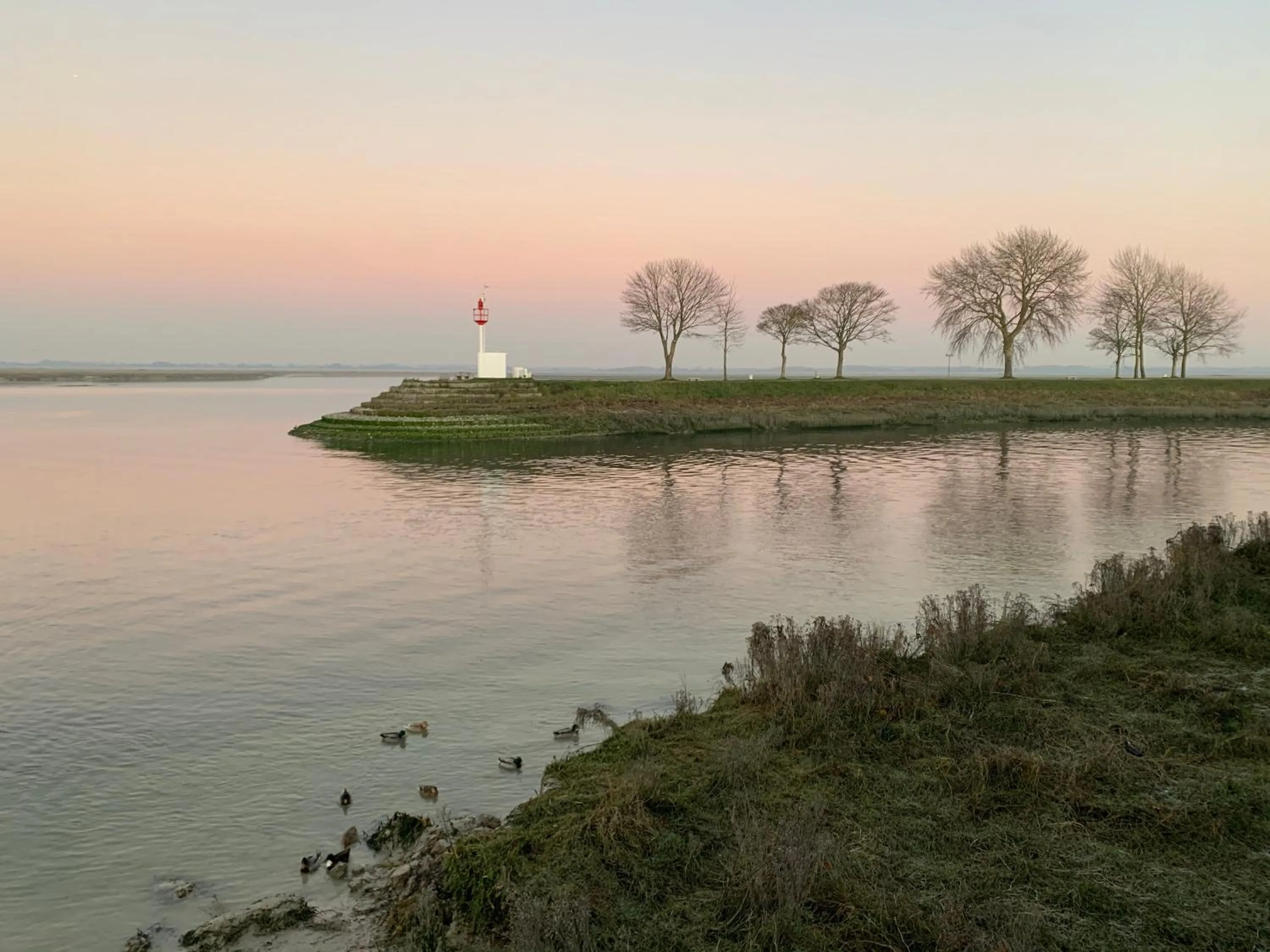 Natural landscape in Au Presbytère de Saigneville
