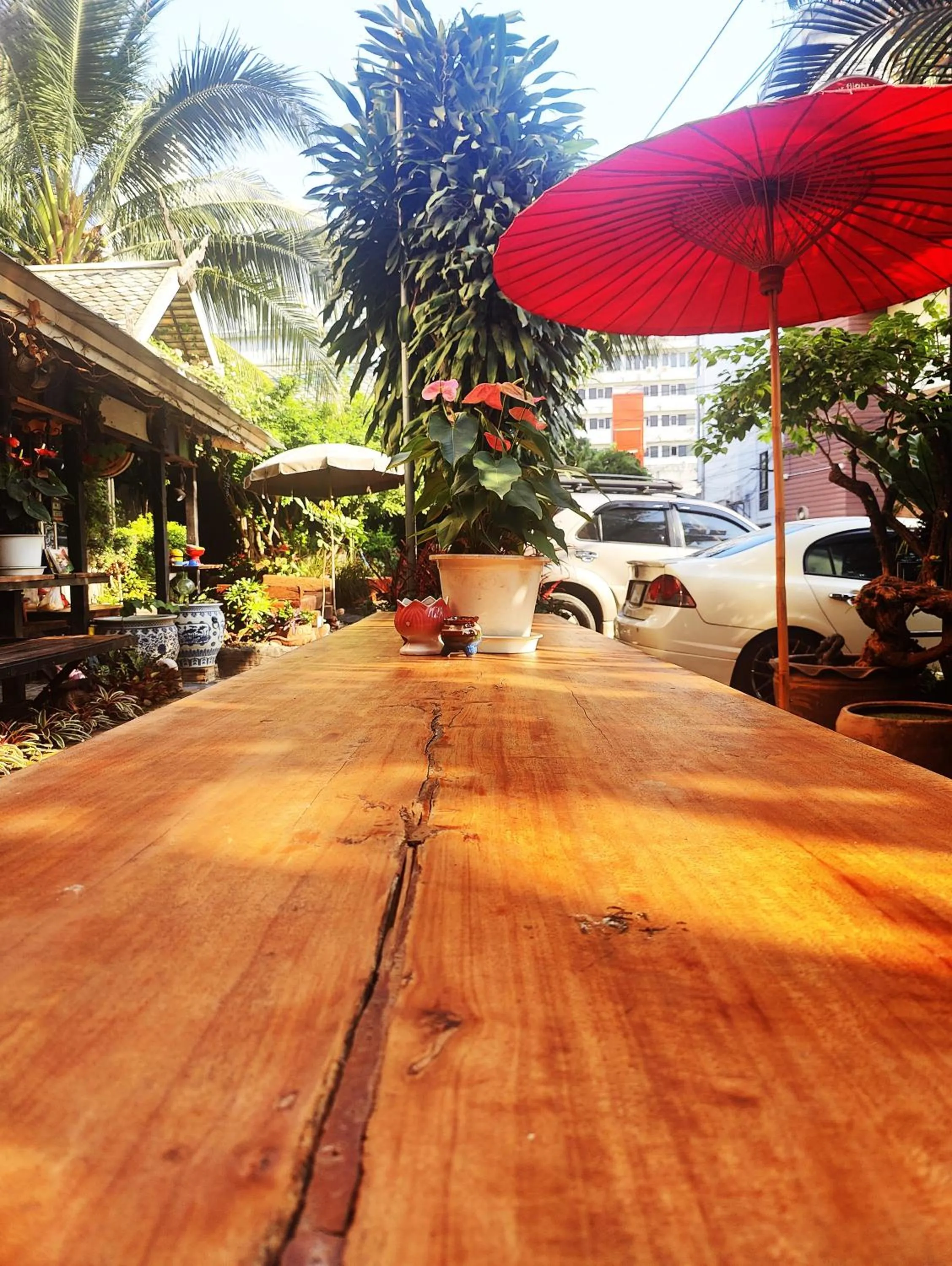 Property building in Panda House Chiang Mai