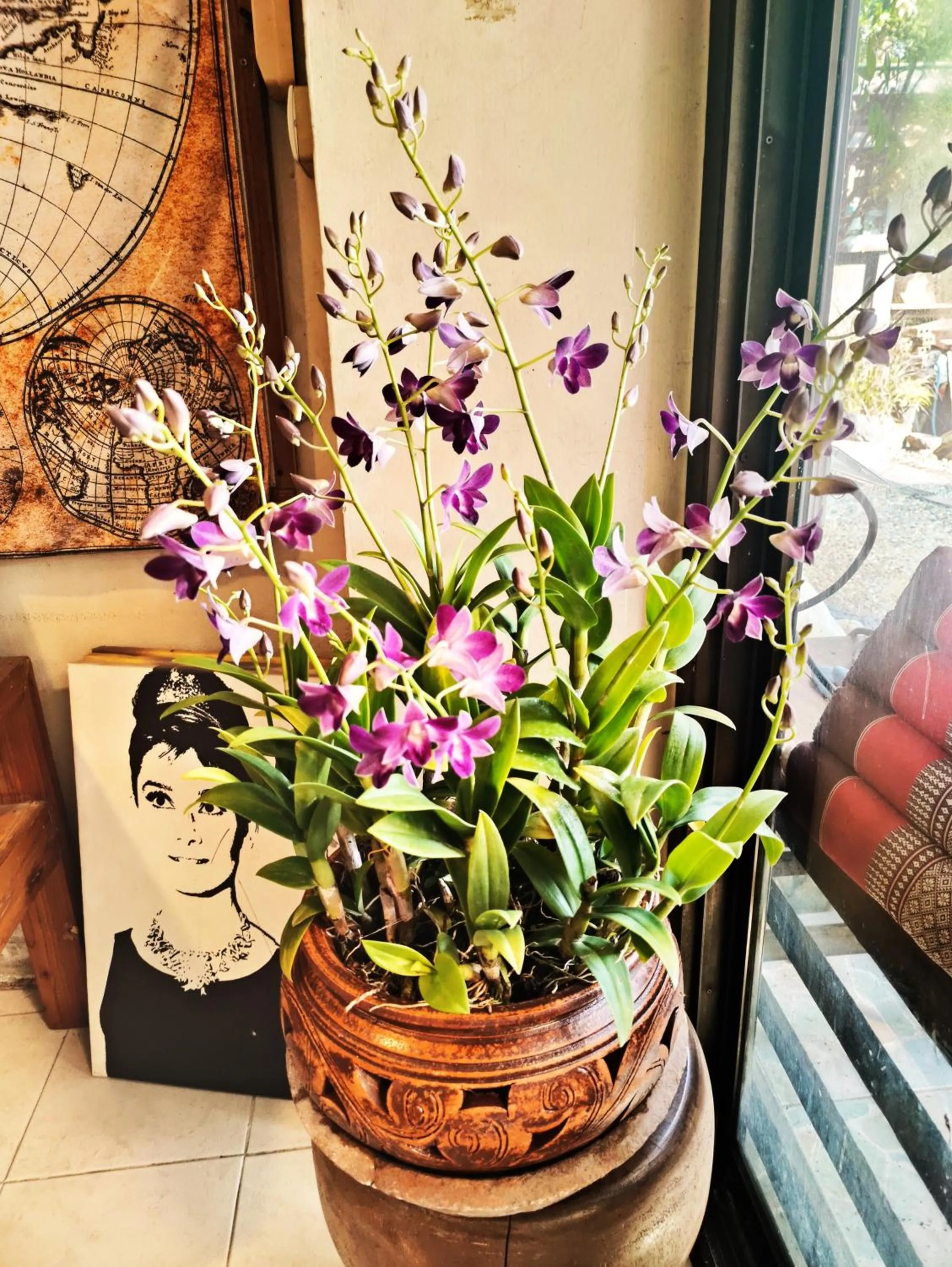 Property building in Panda House Chiang Mai