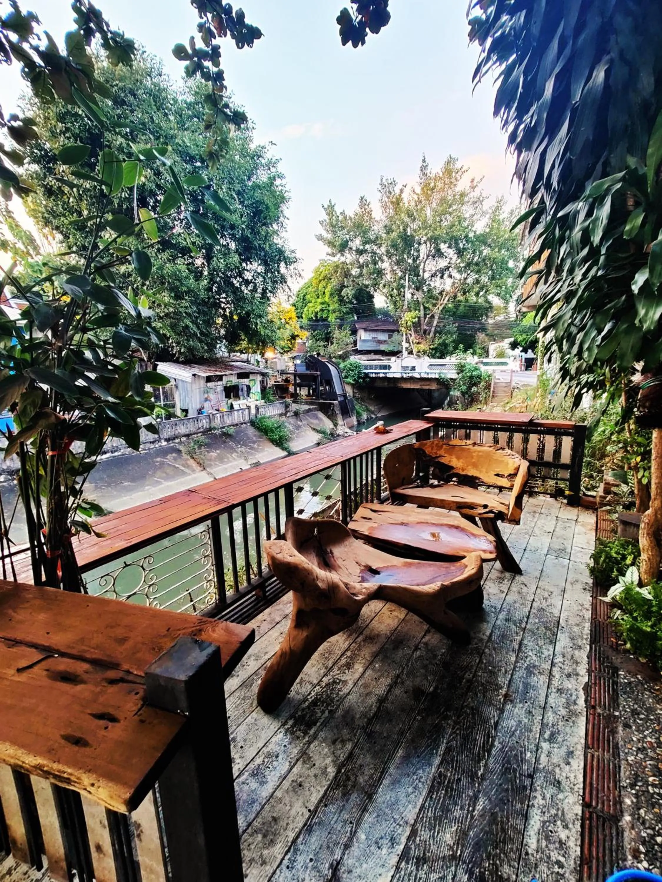 Garden in Panda House Chiang Mai