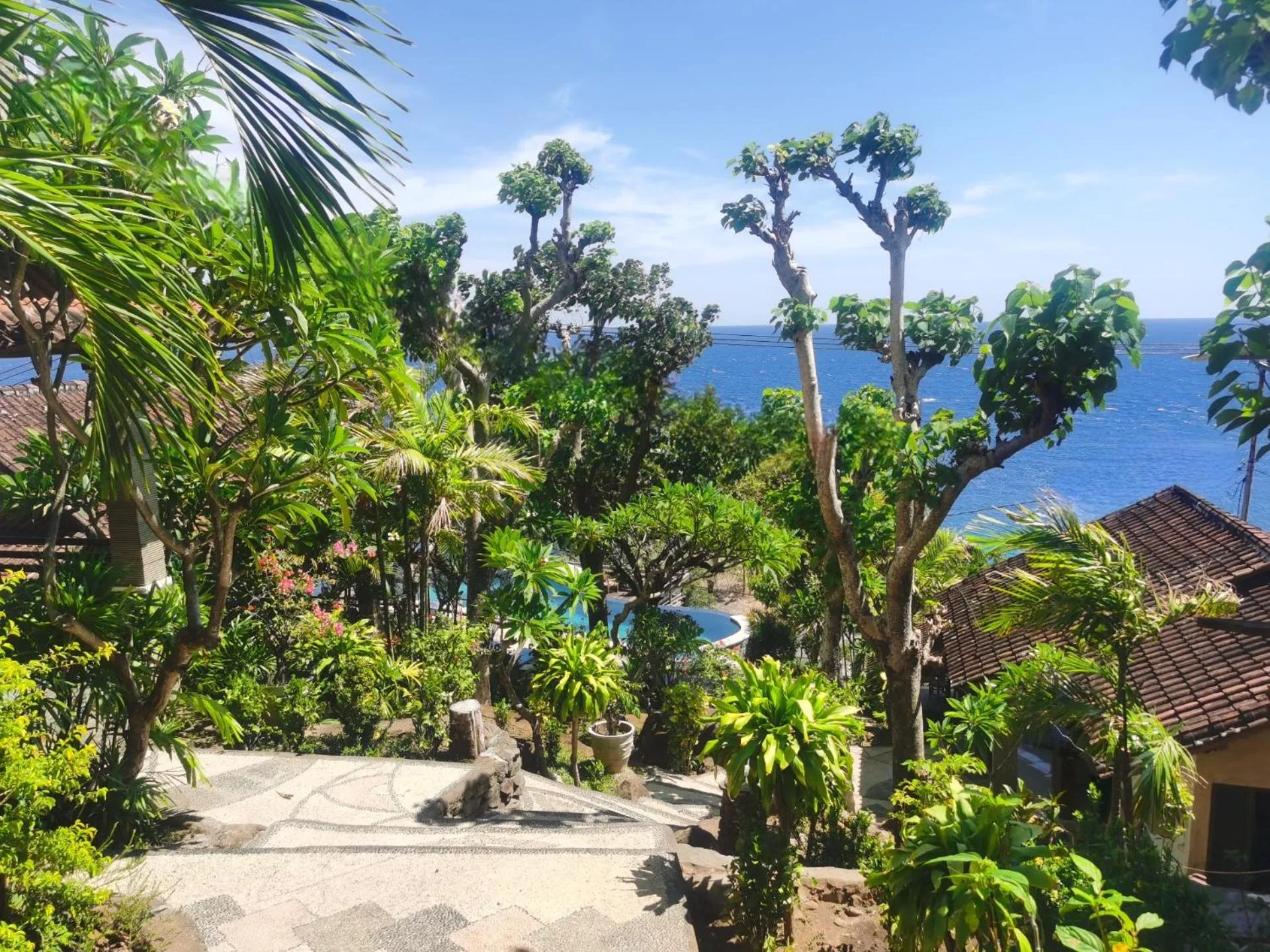 Garden in Wawa Wewe Rock