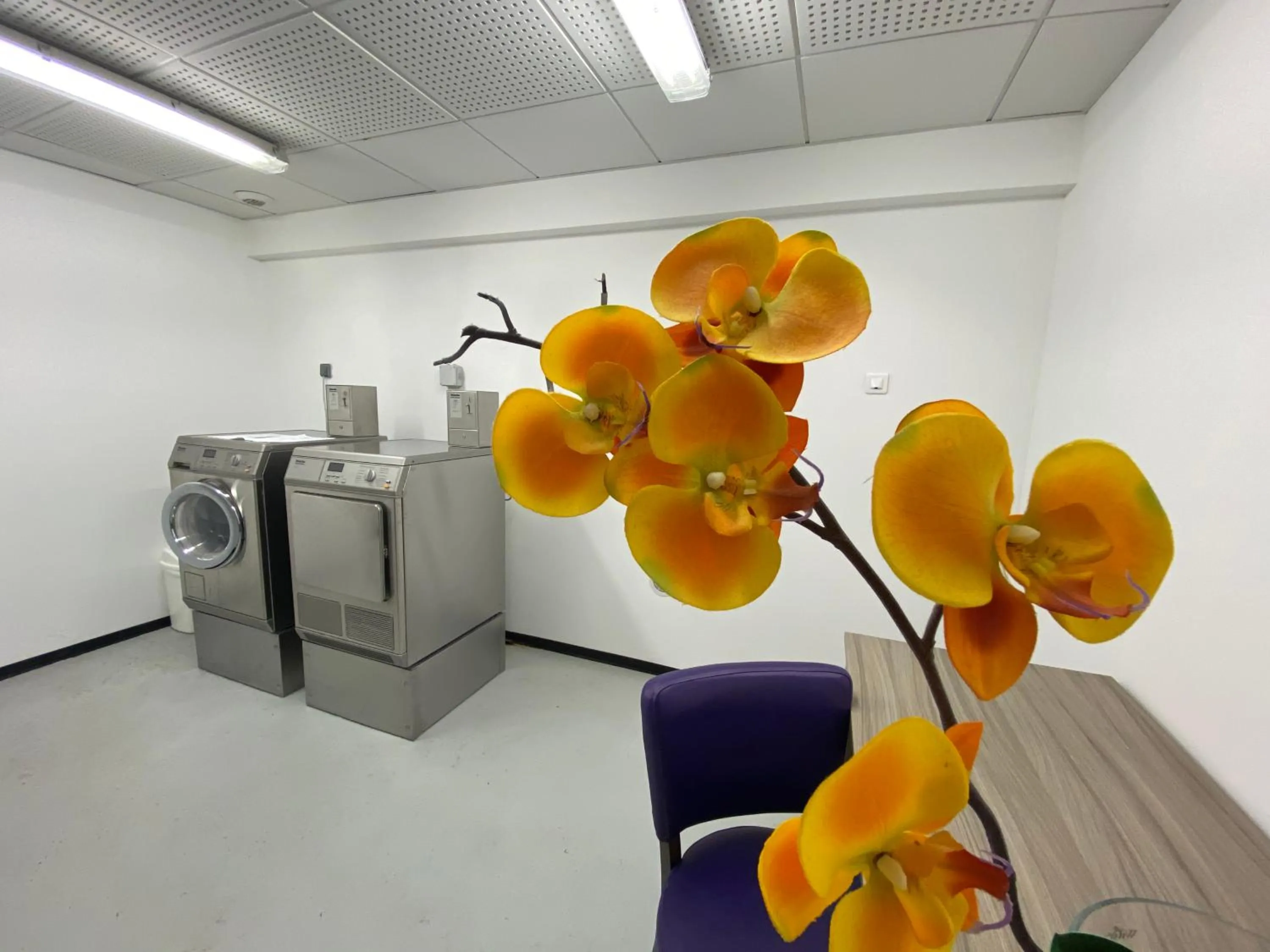 Area and facilities in Suite Home Porticcio