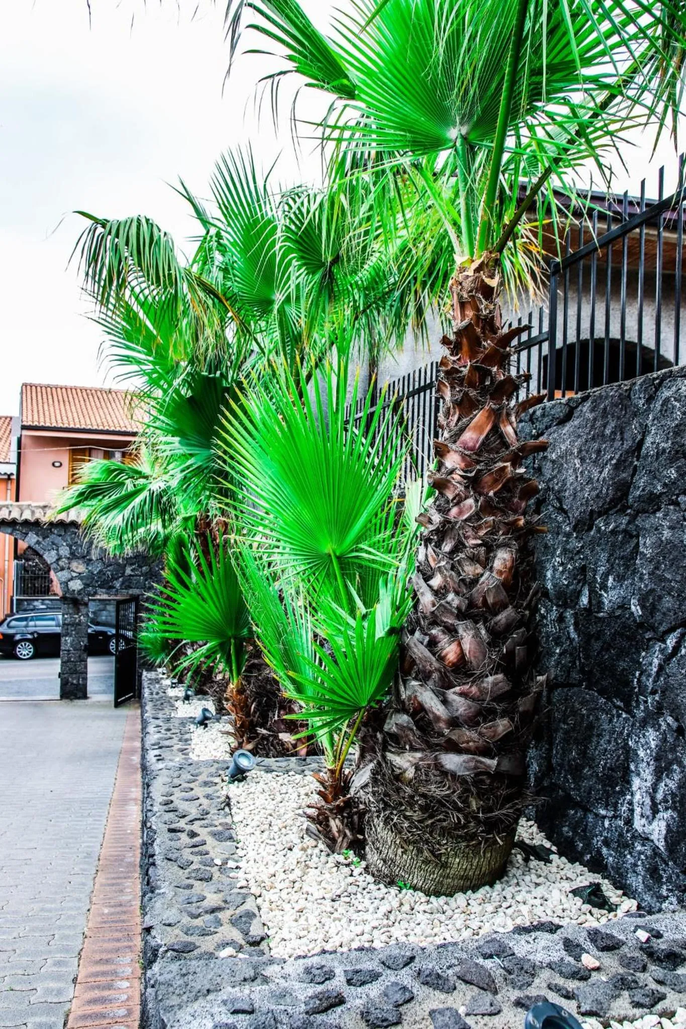 Martina Paradise Affitta Camere