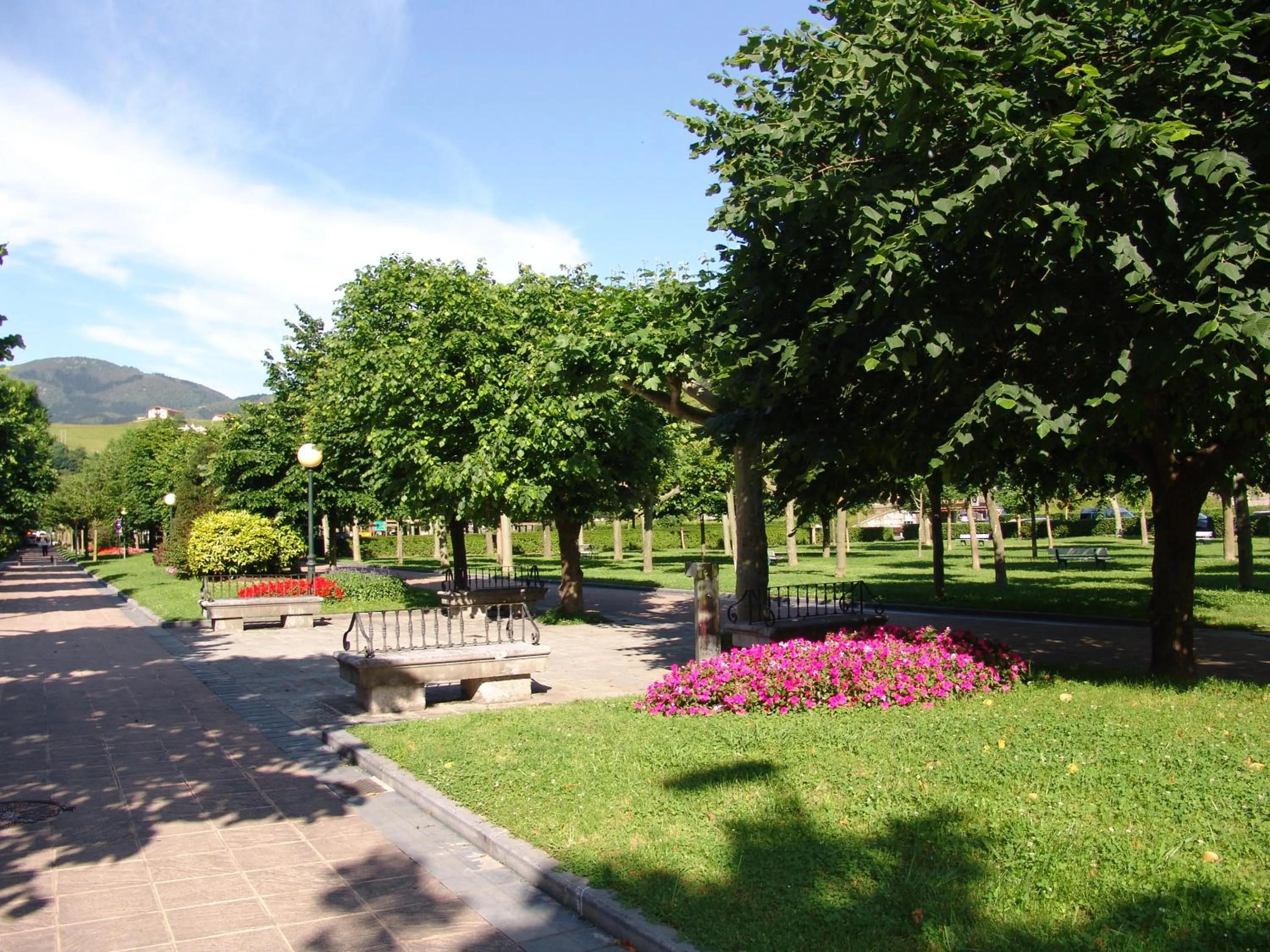 Natural landscape in Pensión Zumardi