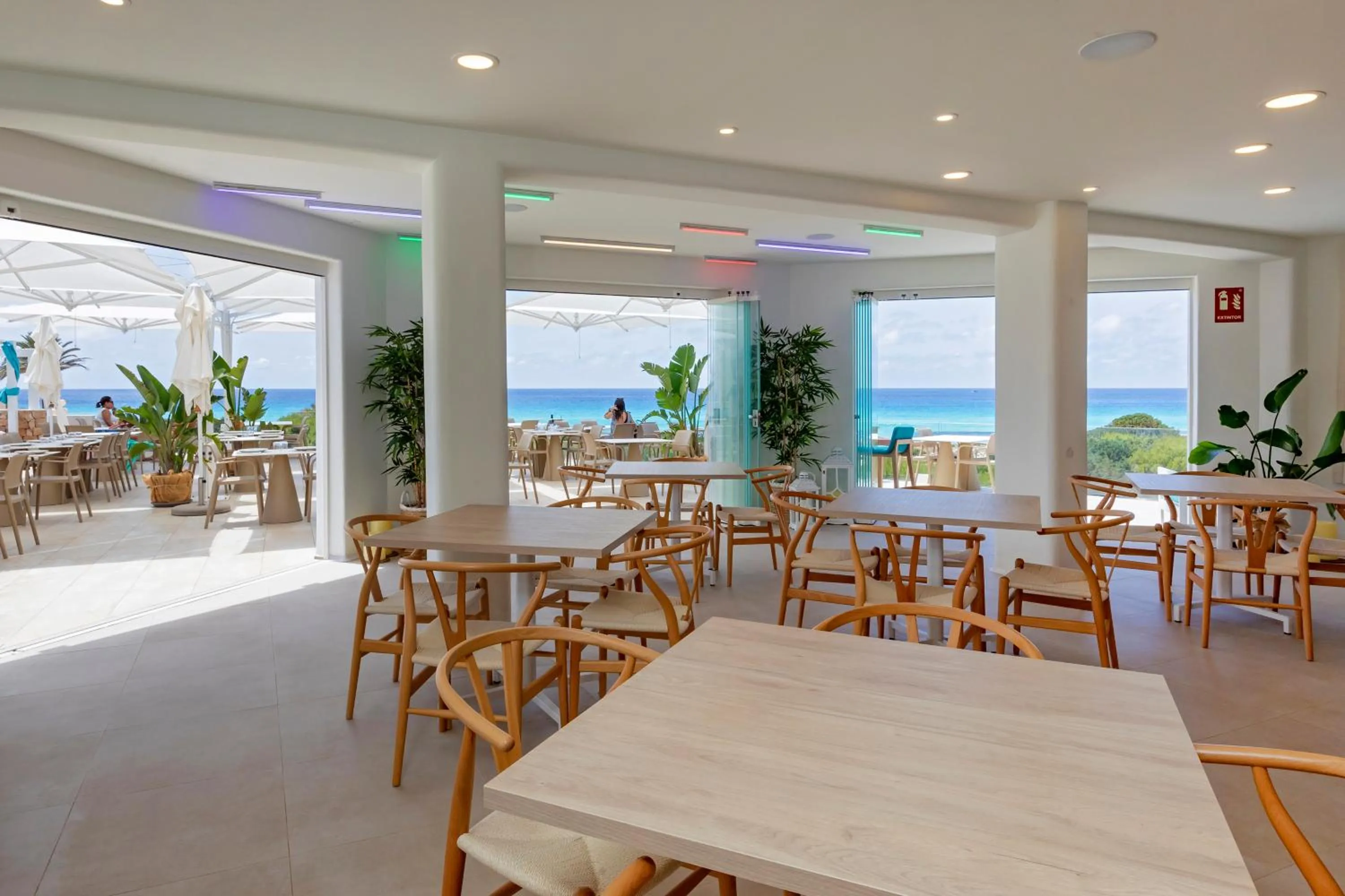 Lounge or bar in Hotel Maysi