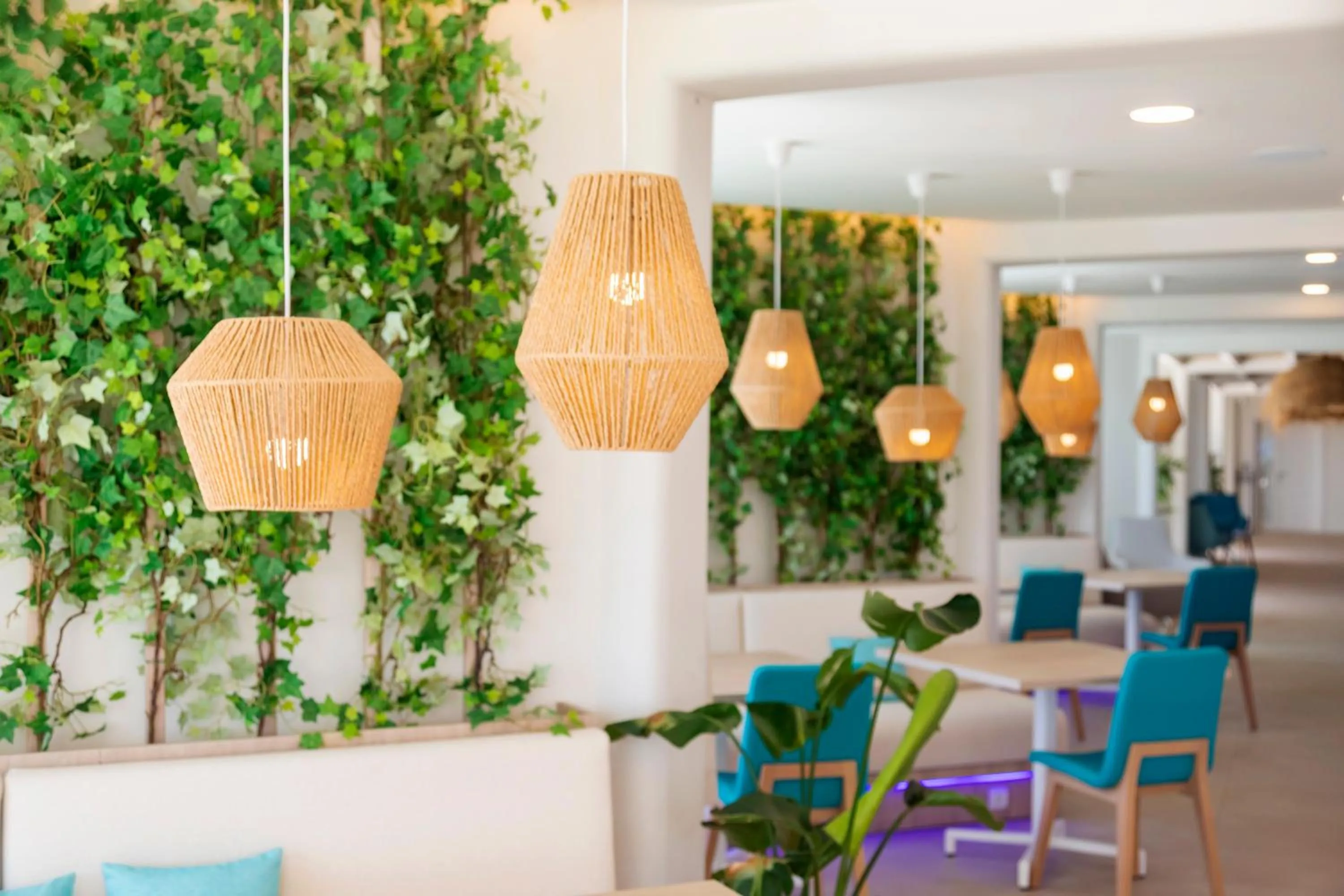 Restaurant/places to eat in Hotel Maysi