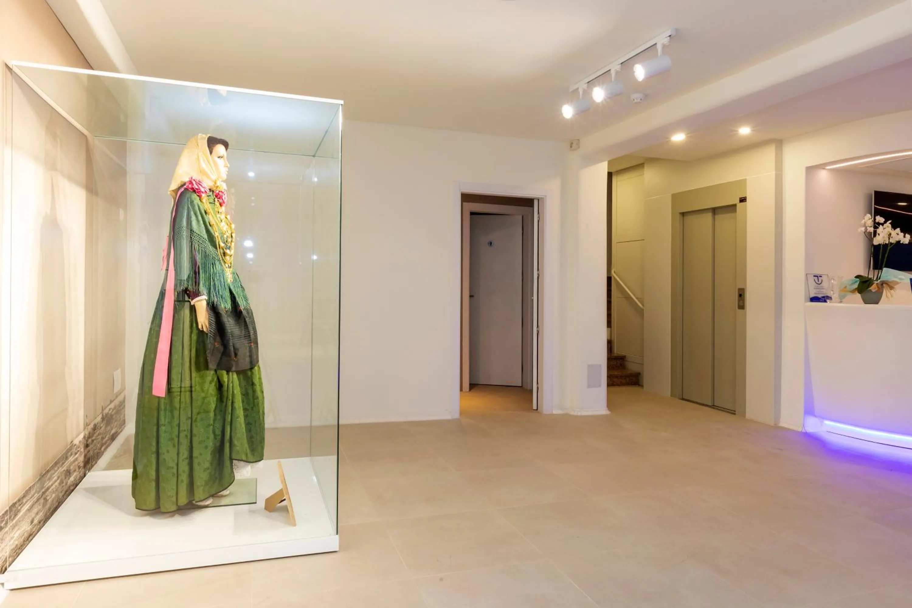 Entertainment in Hotel Maysi