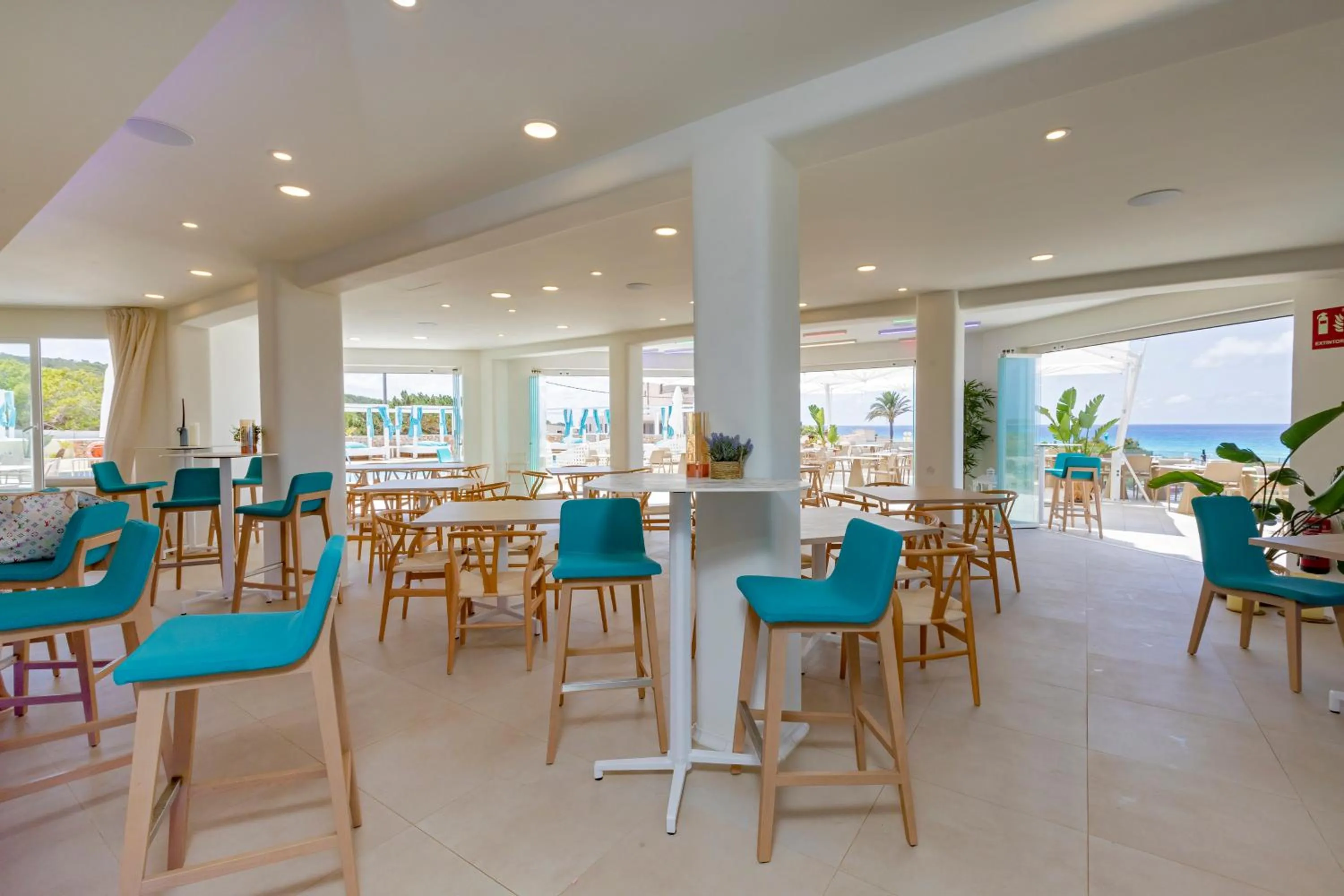 Lounge or bar in Hotel Maysi