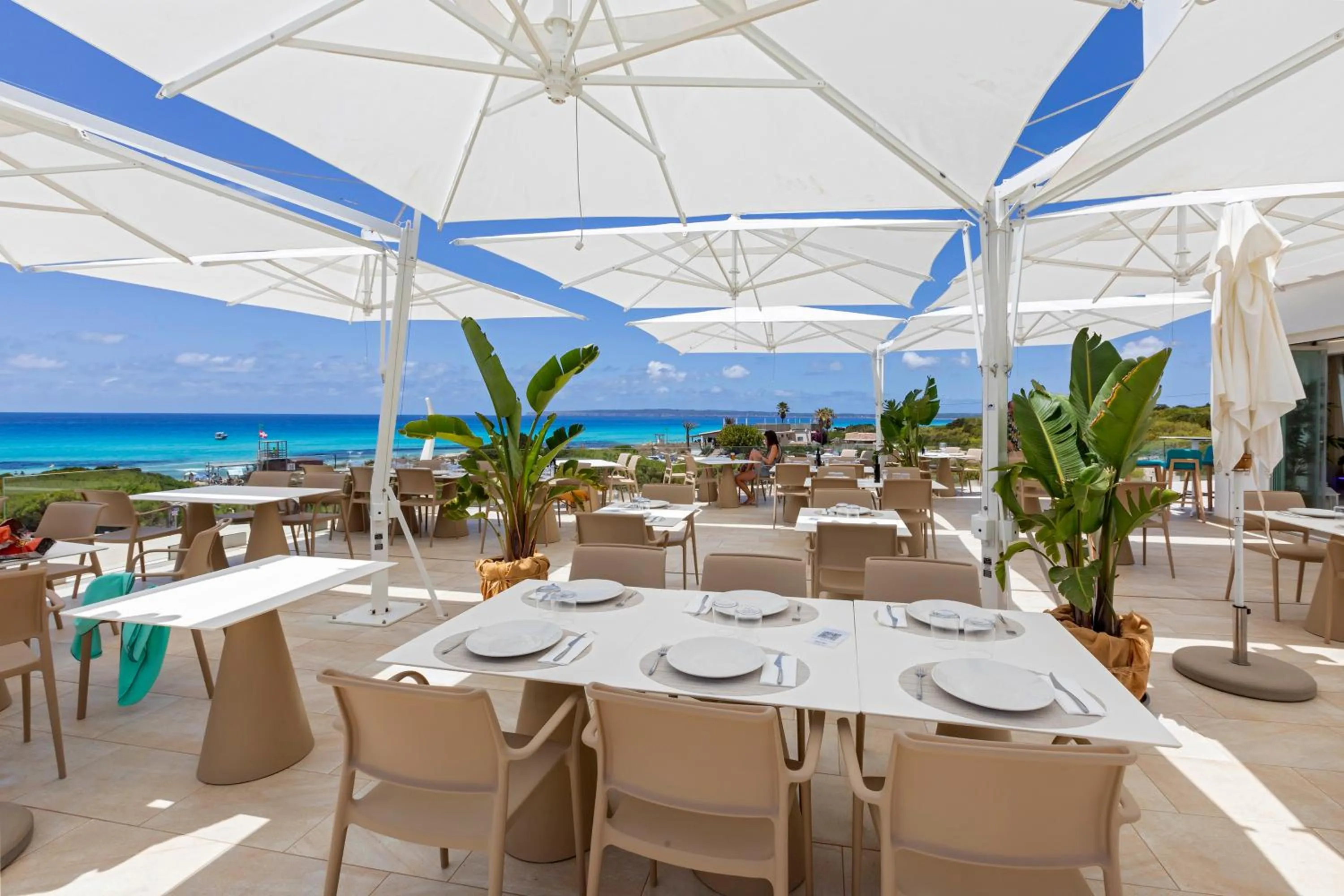 Restaurant/places to eat in Hotel Maysi