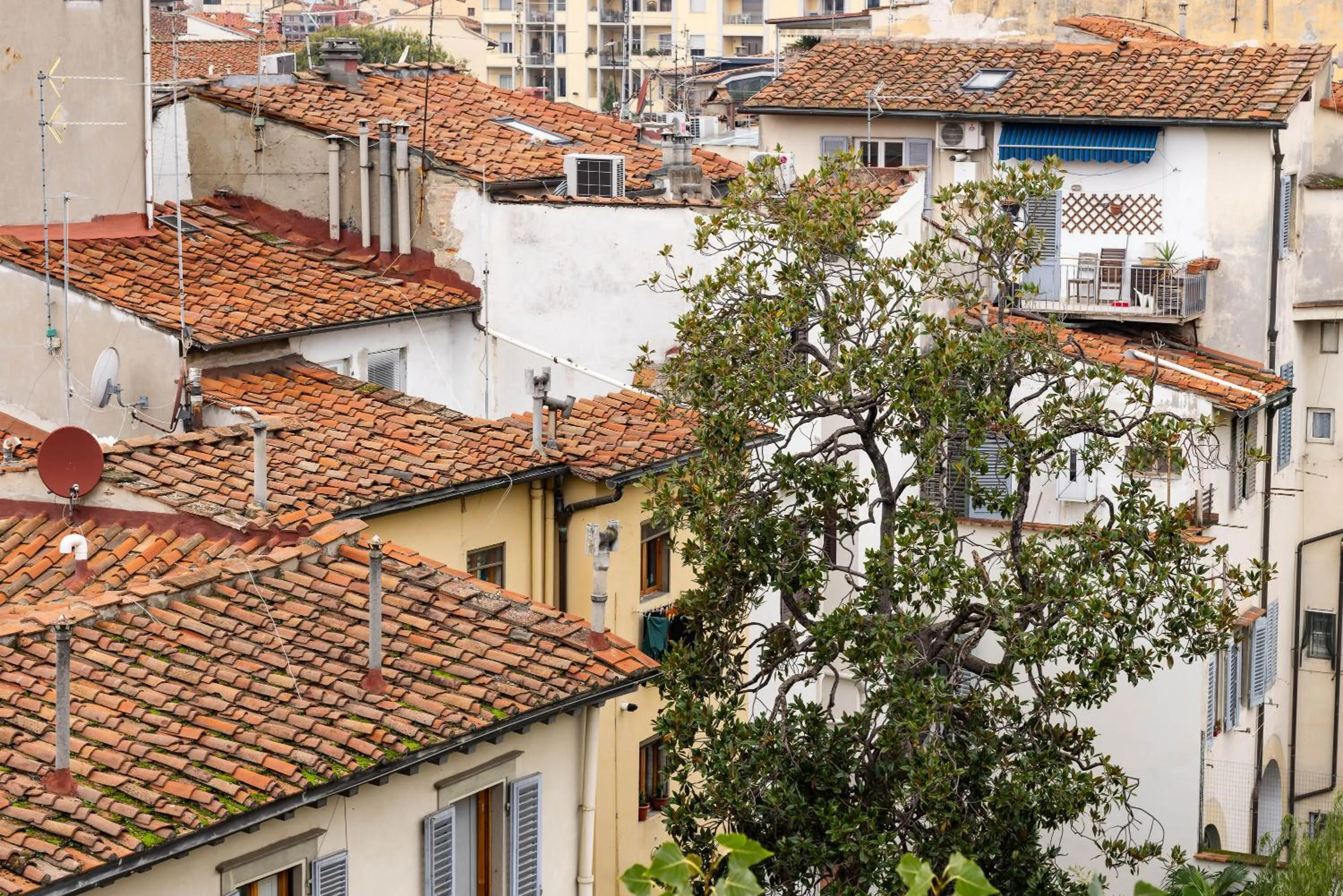 City view in Novella House