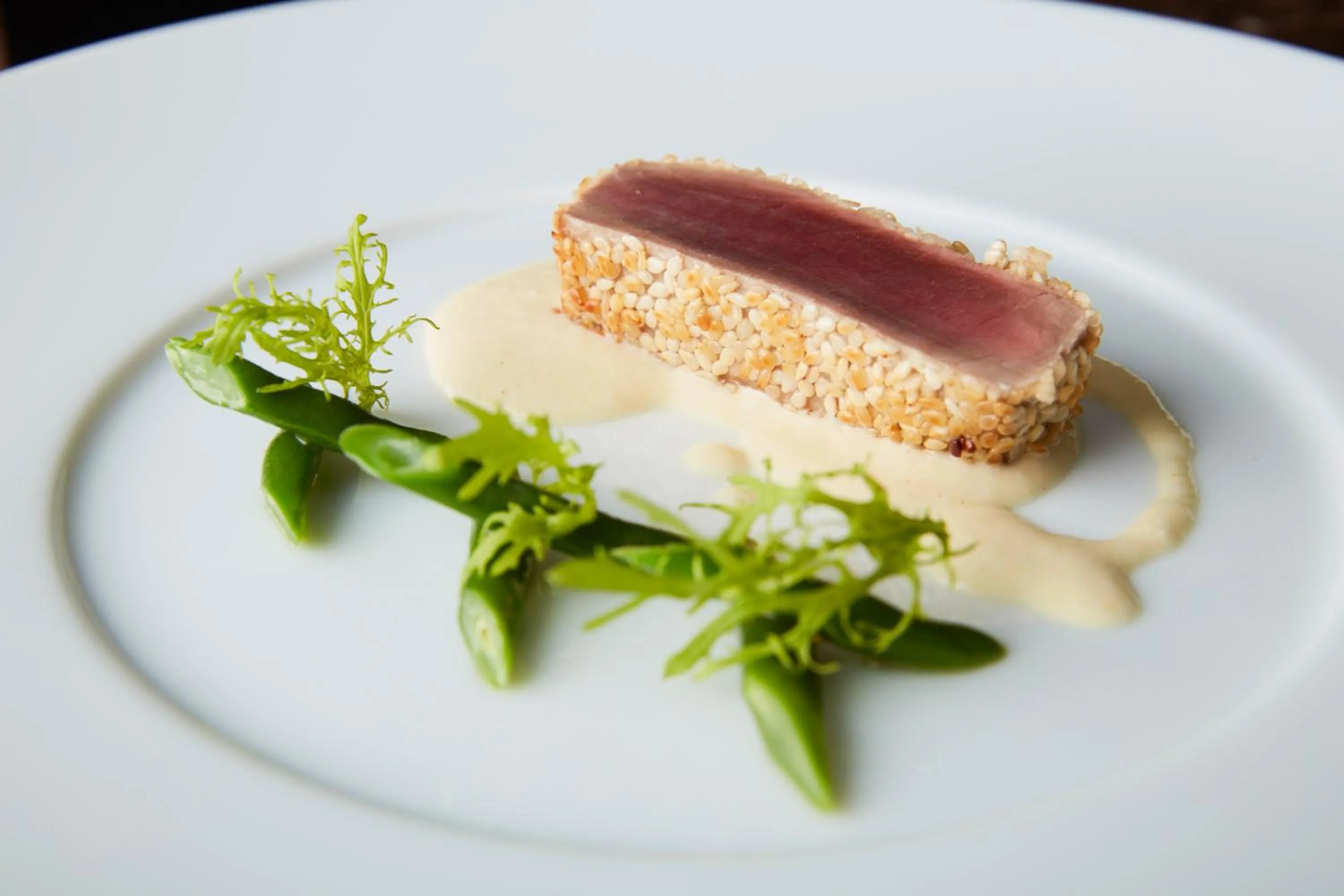 Dinner in Rembrandt Premium Fuji Gotenba