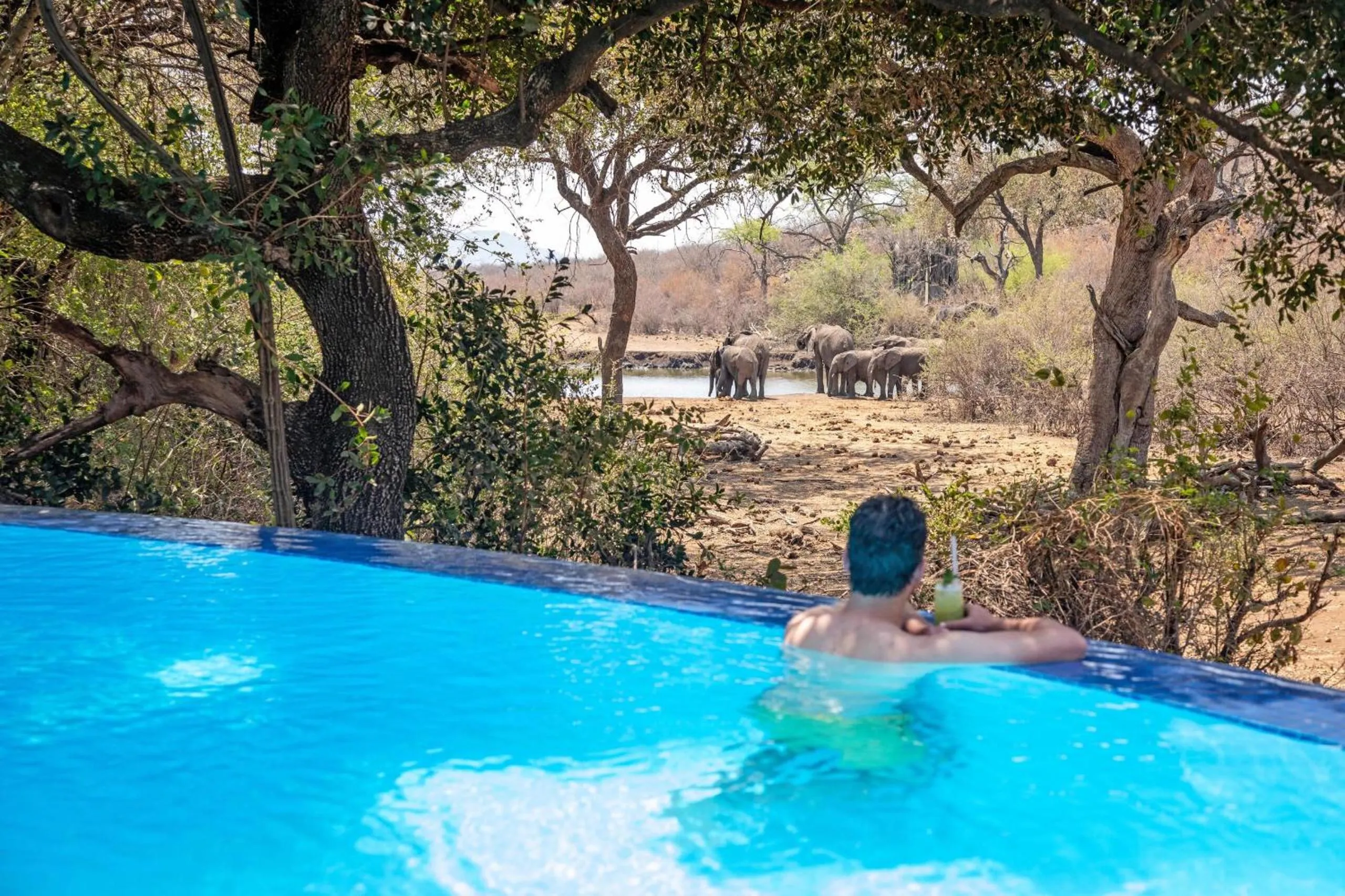 Pool view in Tuningi Safari Lodge