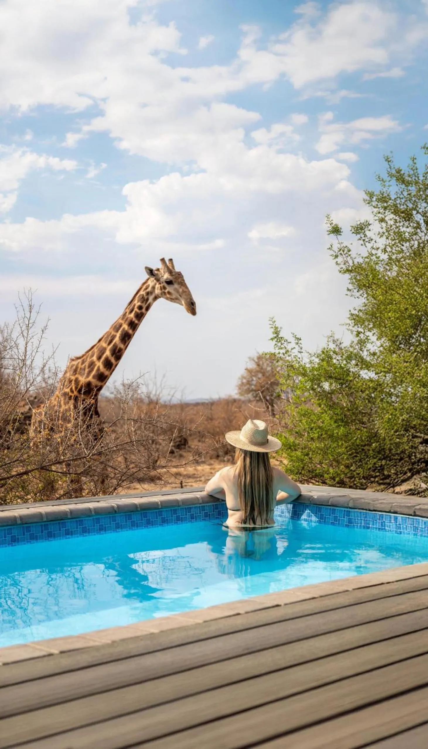 Animals in Tuningi Safari Lodge