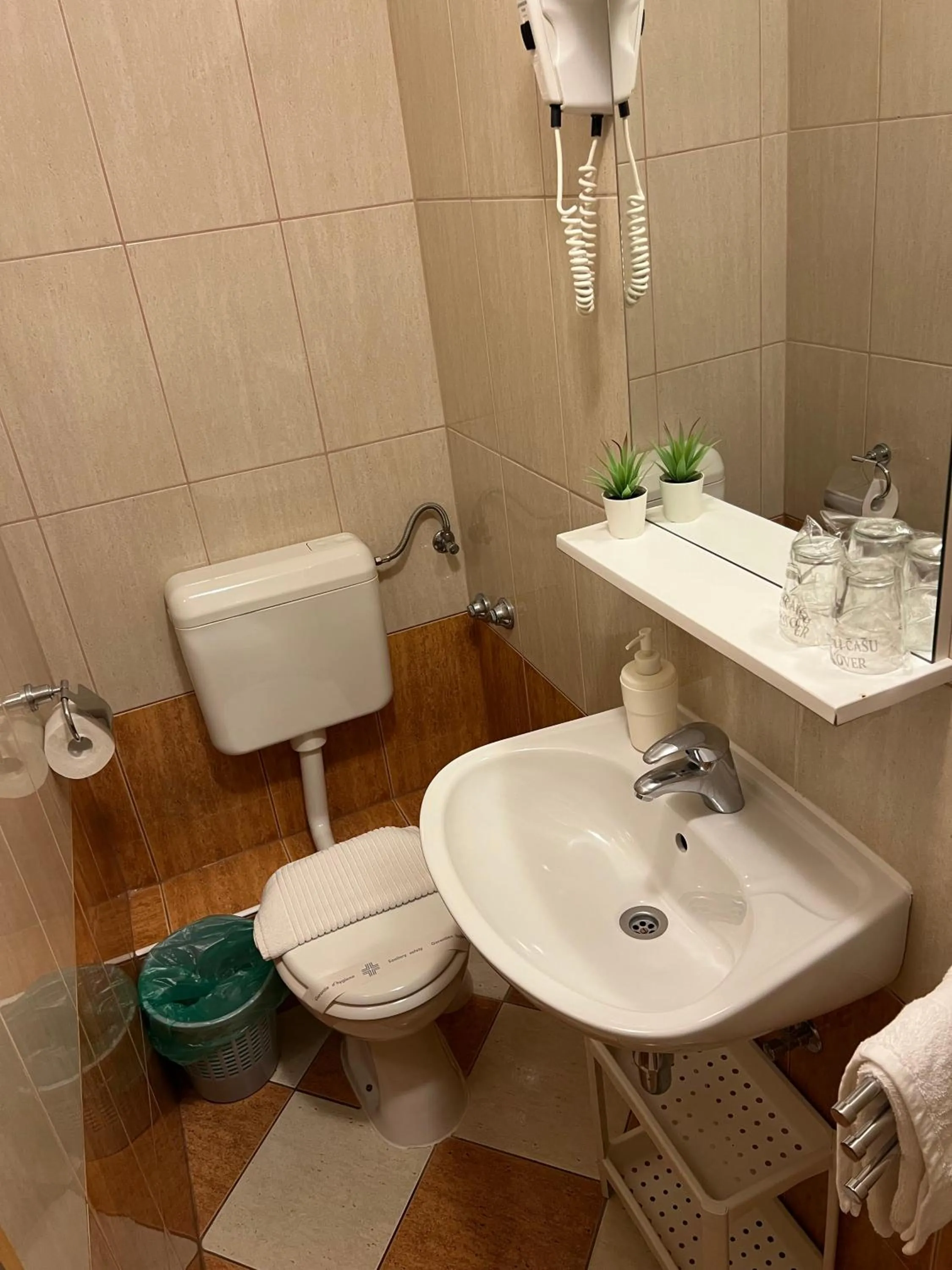 Toilet in Apartments and Rooms Katija & Egon