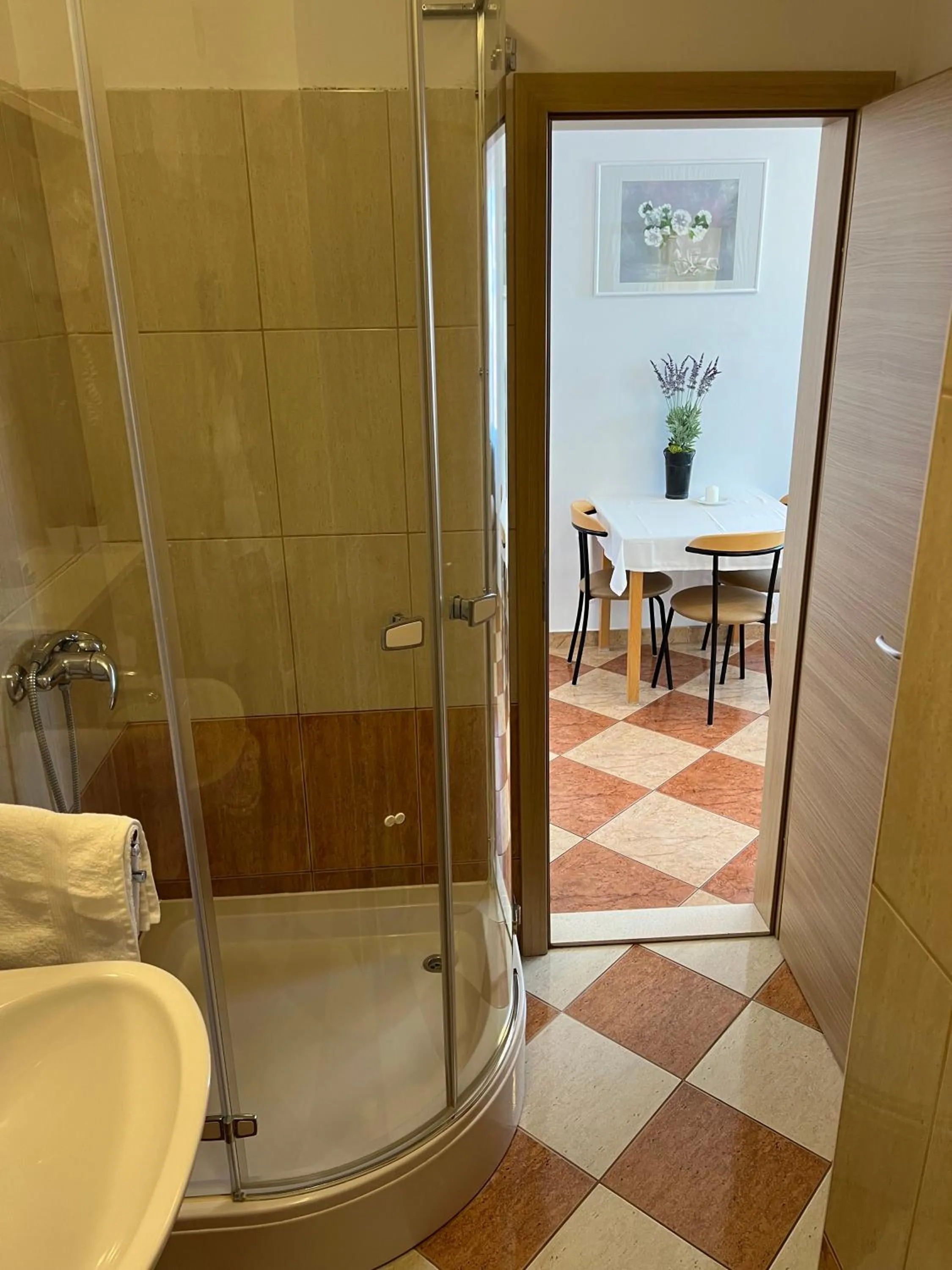 Shower in Apartments and Rooms Katija & Egon