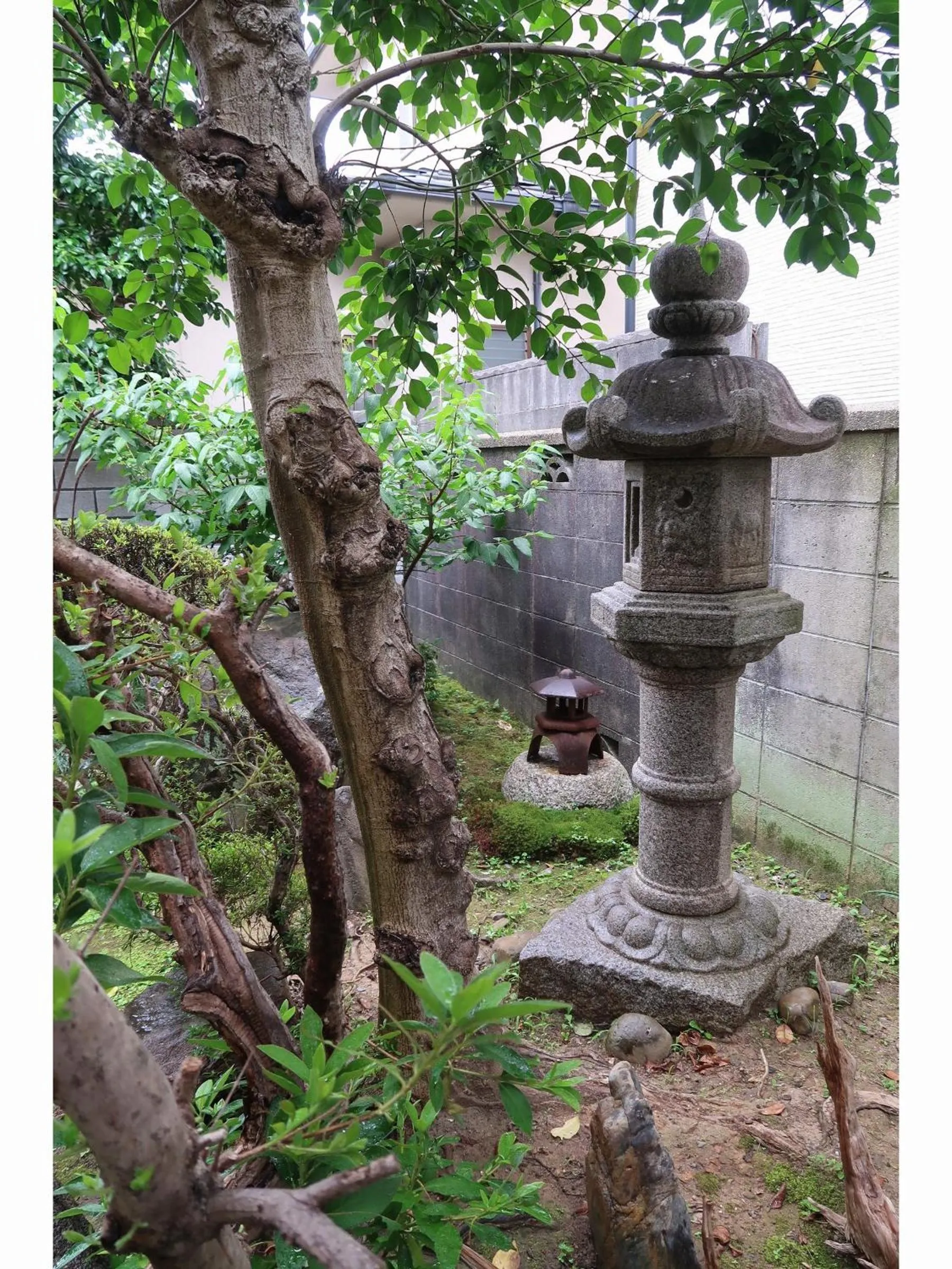 Garden in Uji Tea Inn