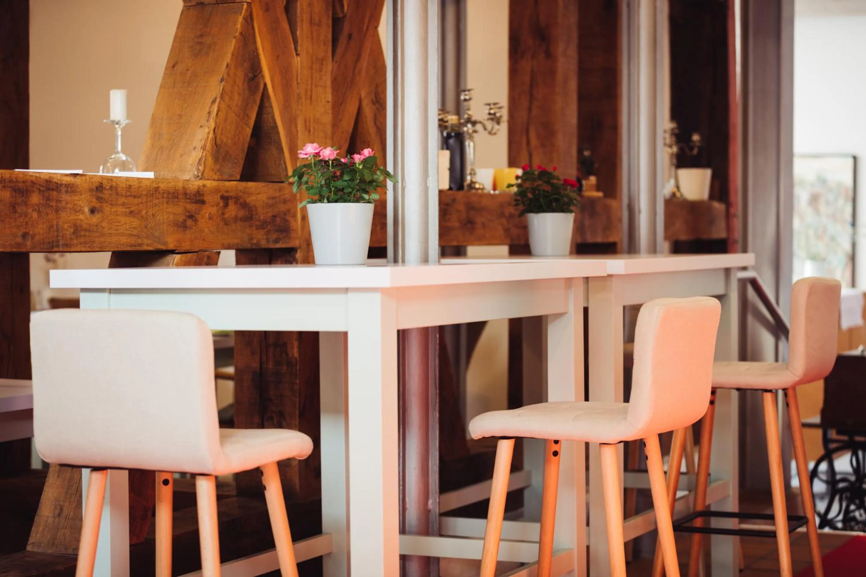 Other in Hotel Zum Schwan Wanfried