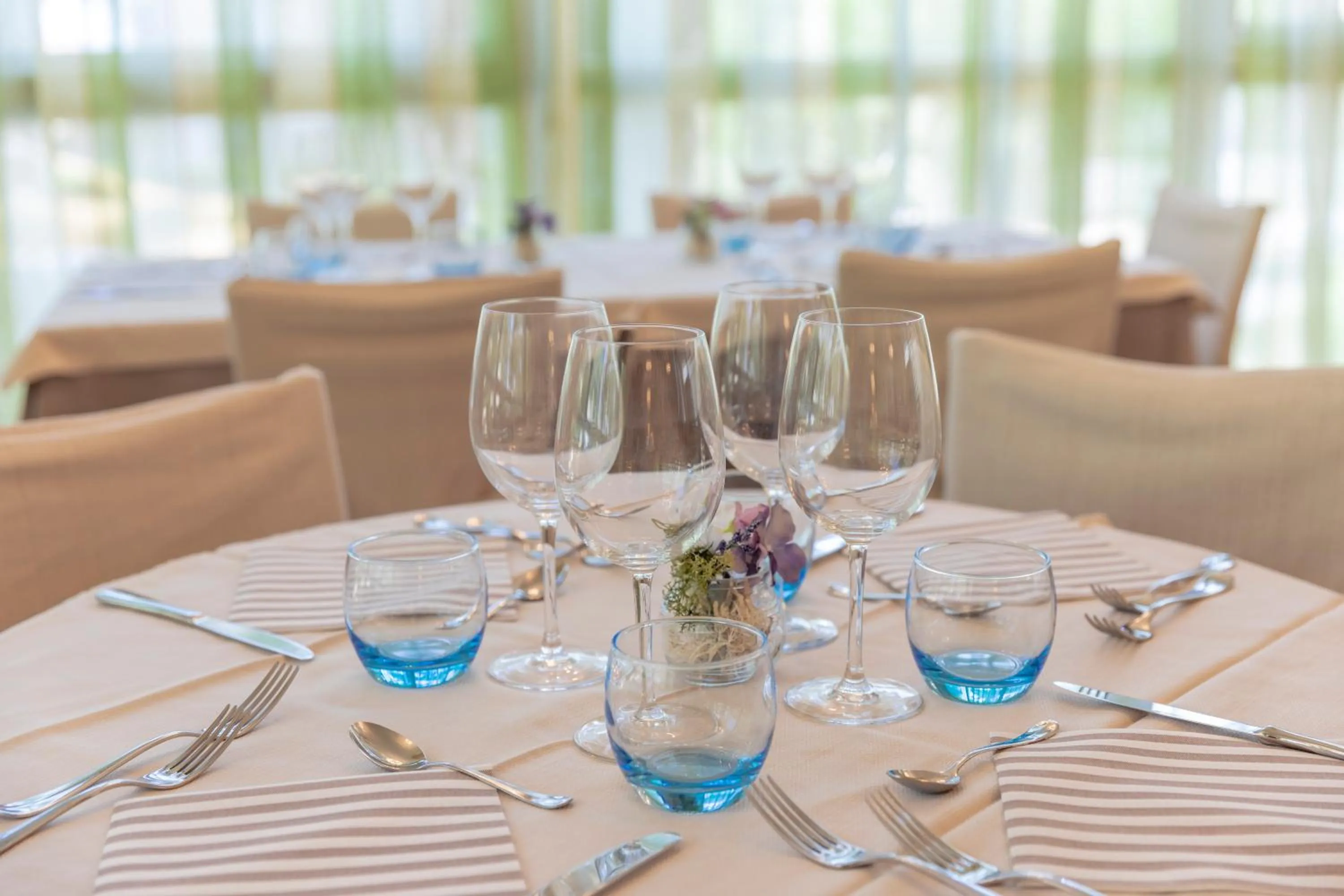 Restaurant/places to eat in Hotel Deborah