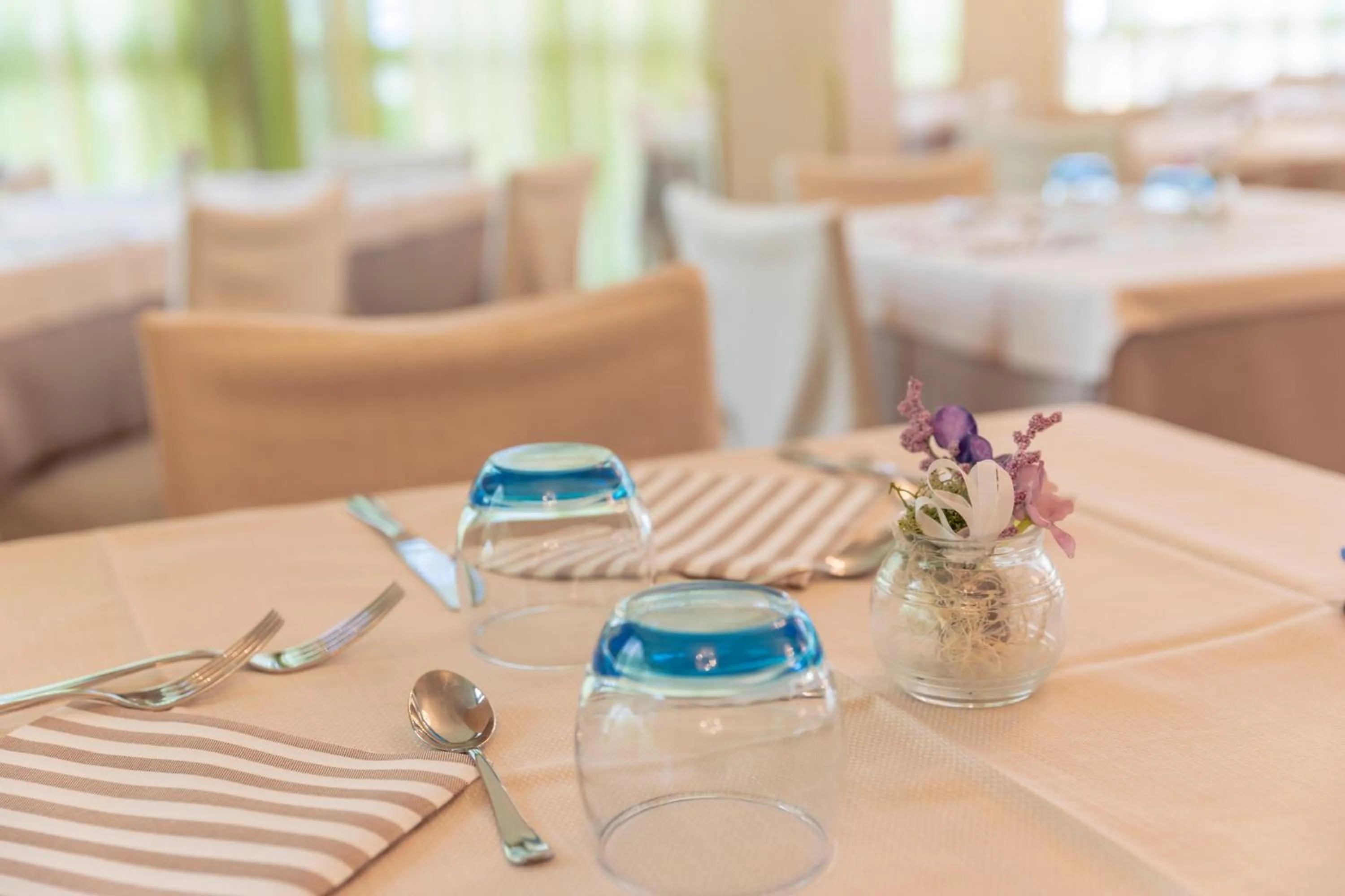 Restaurant/places to eat in Hotel Deborah