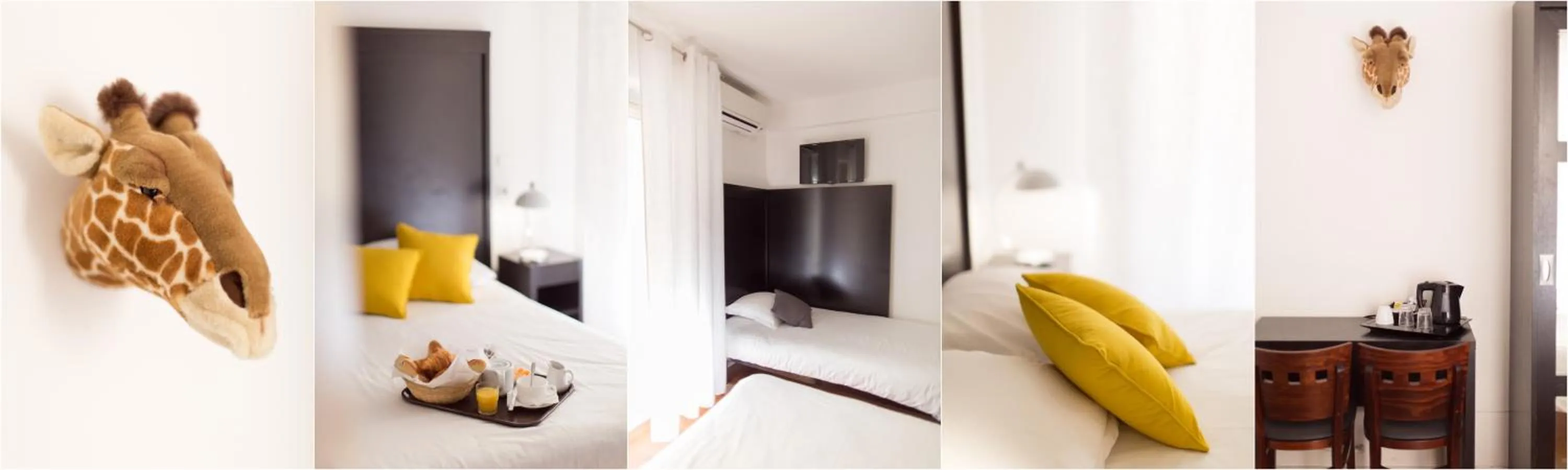 Photo of the whole room in Esperanto